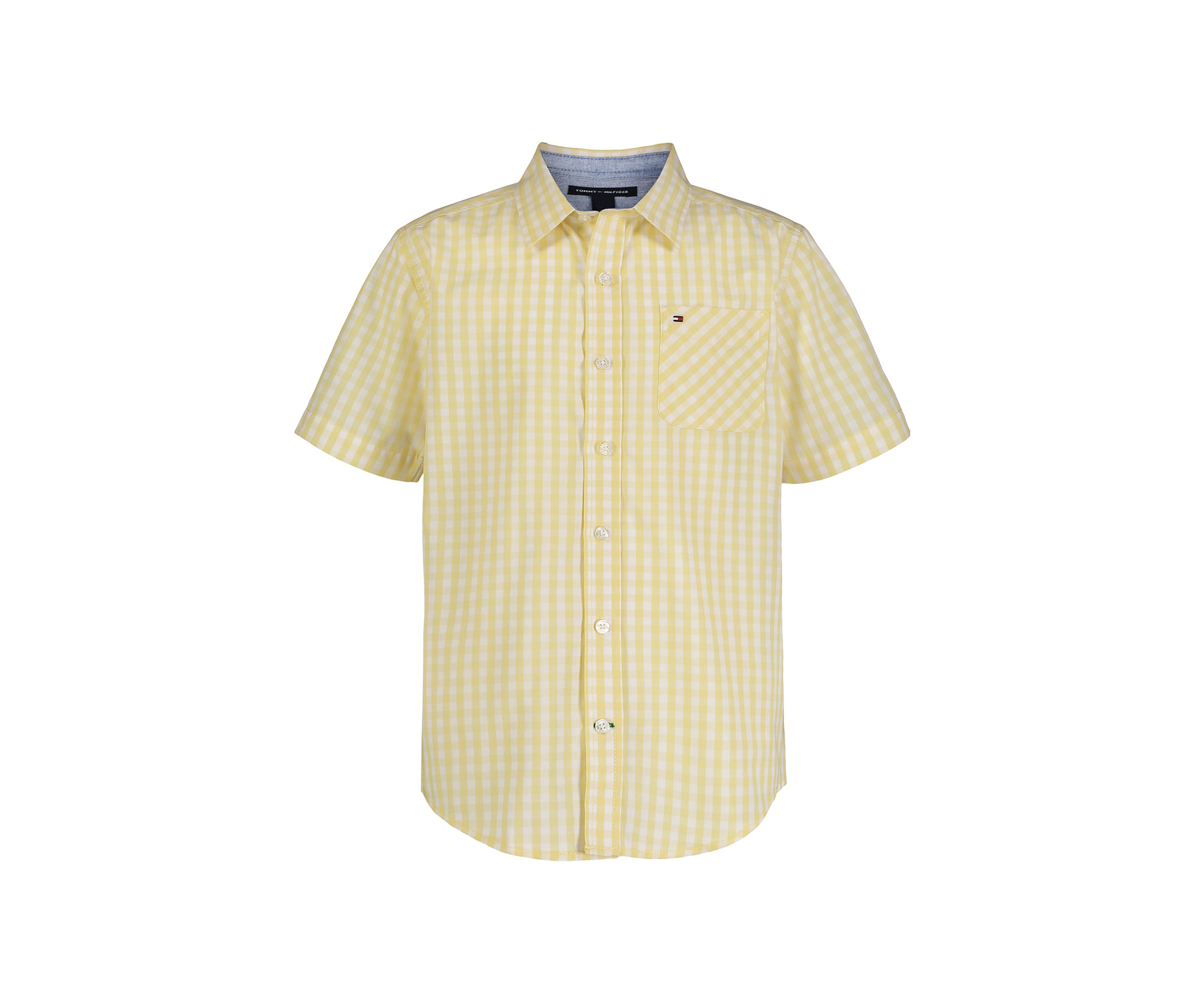 Boys 4-7 Woven Gingham Printed Button Down Shirt