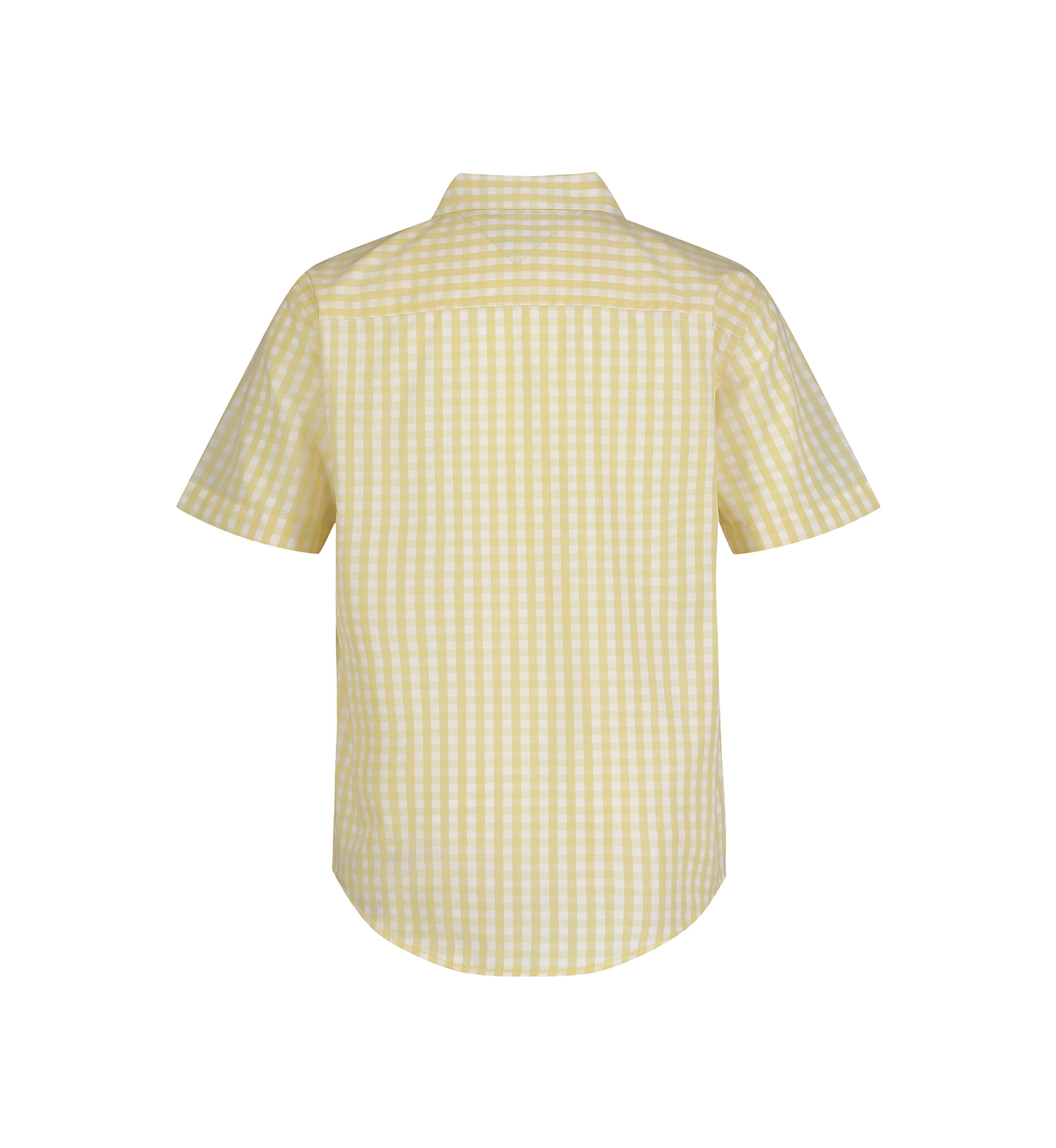 Boys 4-7 Woven Gingham Printed Button Down Shirt
