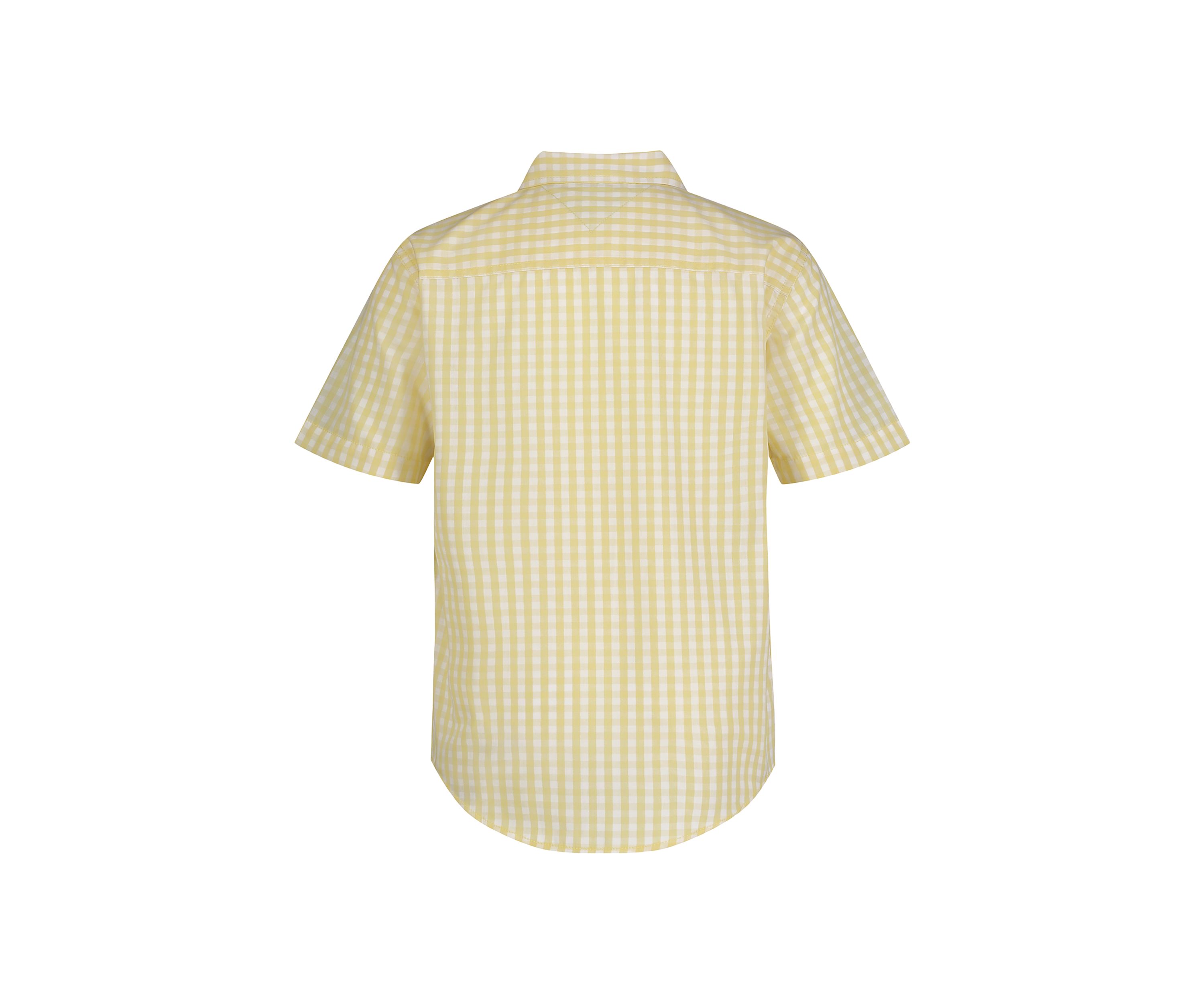 Boys 4-7 Woven Gingham Printed Button Down Shirt