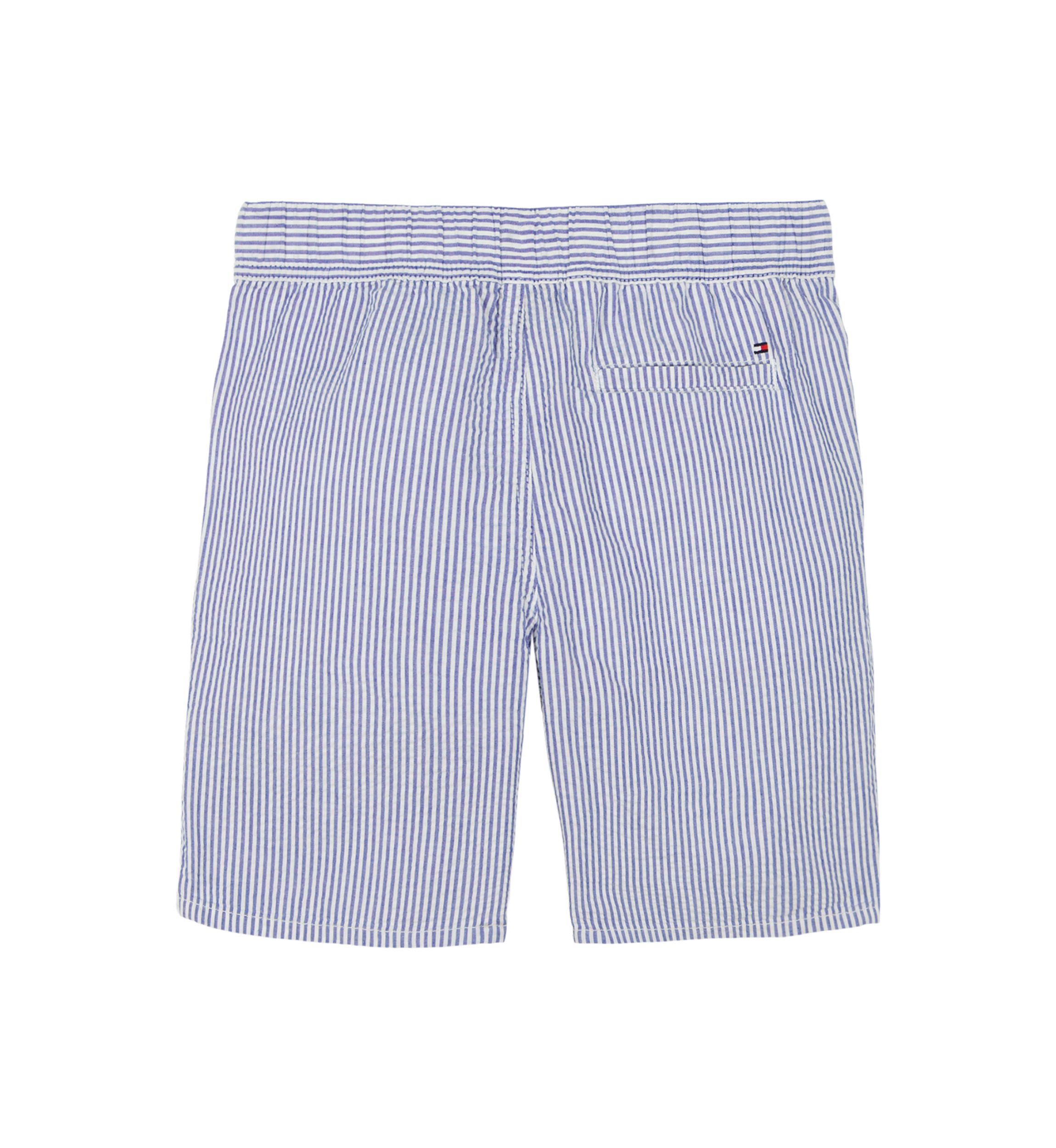 Boys 8-20 Seersucker Stripe Shorts