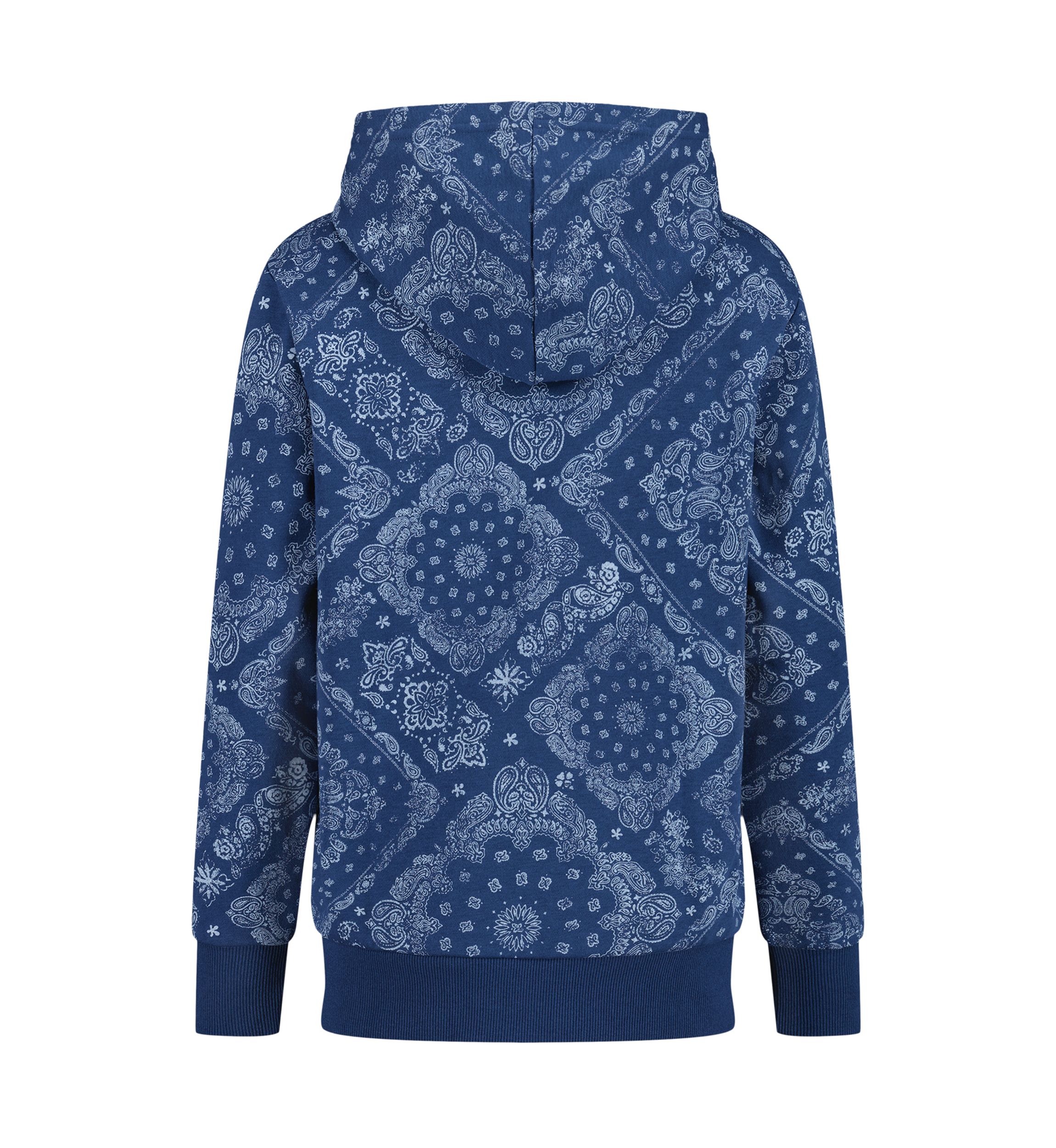 Boys 8-20 Bandana Printed Hoodie