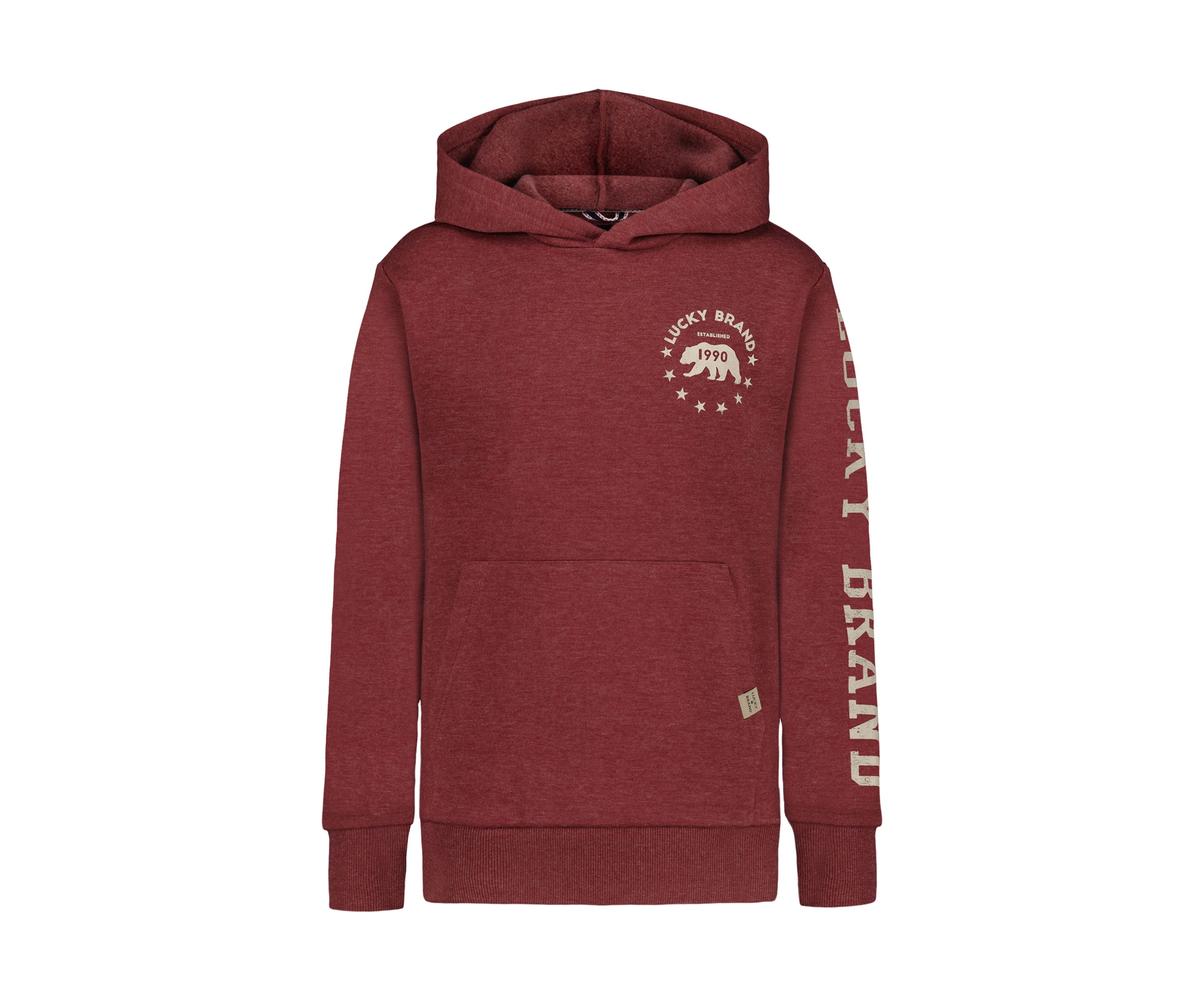 Boys 8-20 Bear Graphic Hoodie
