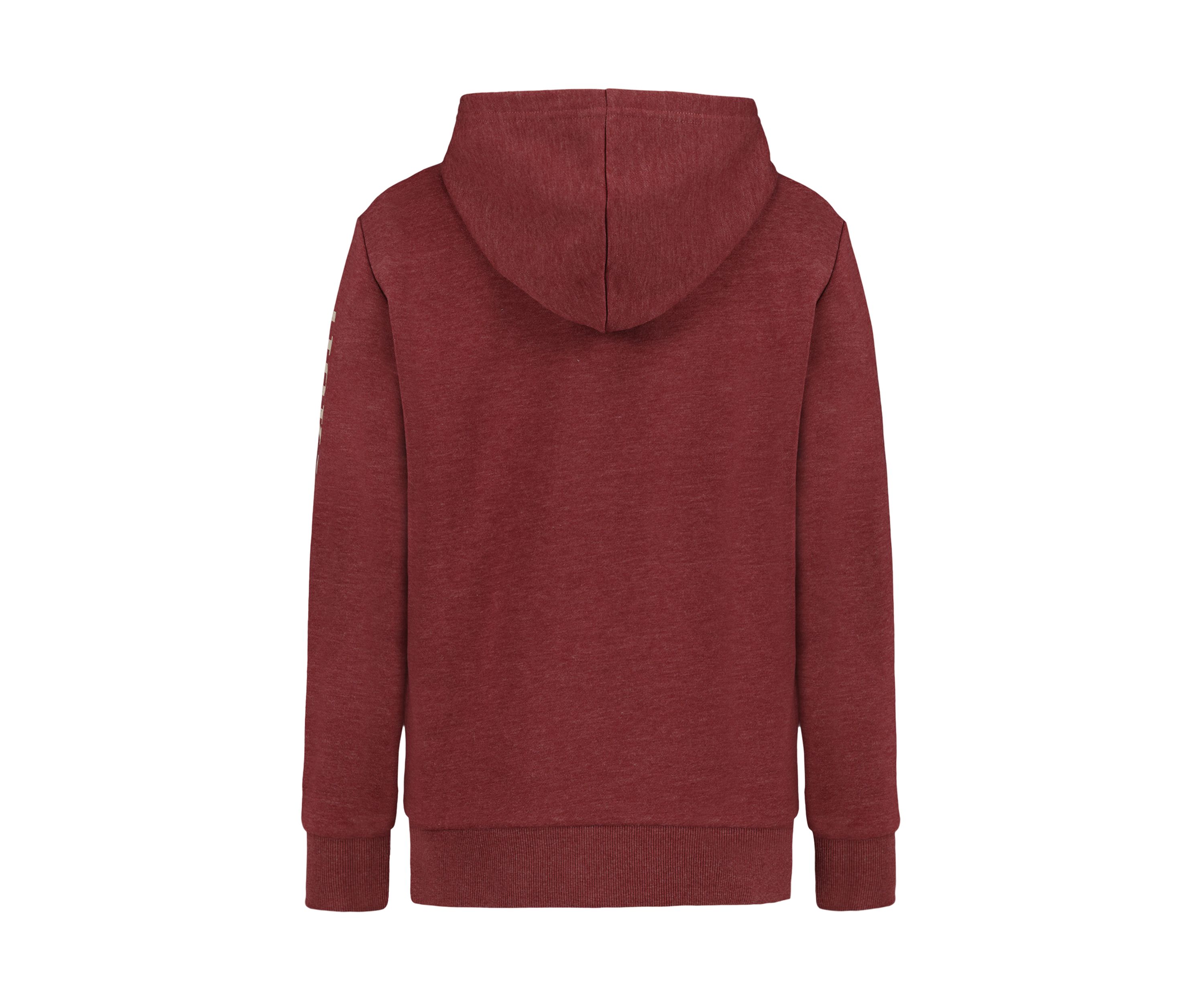 Boys 8-20 Bear Graphic Hoodie
