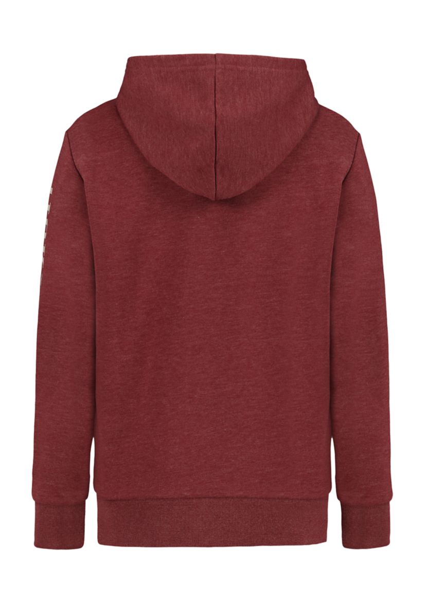 Boys 8-20 Bear Graphic Hoodie