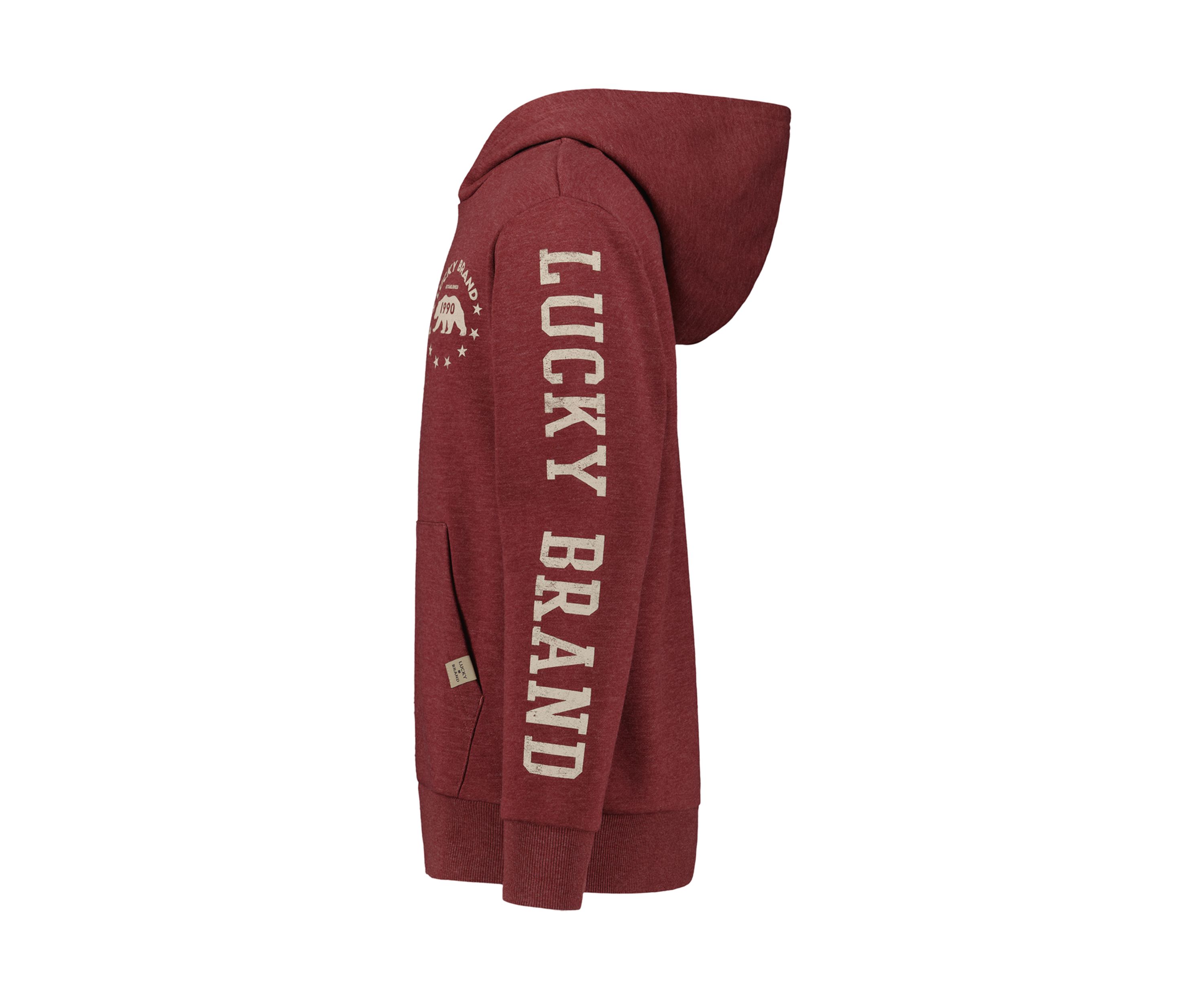 Boys 8-20 Bear Graphic Hoodie