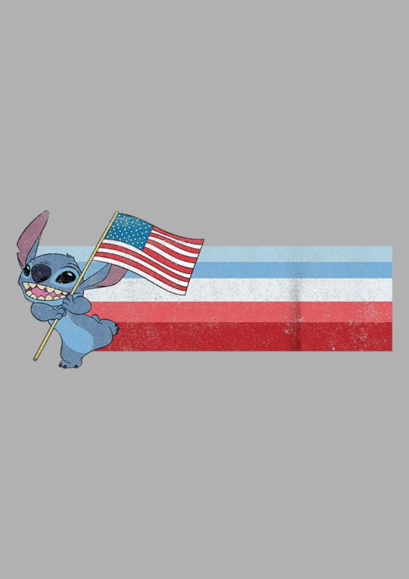Flag Stitch Graphic T-Shirt