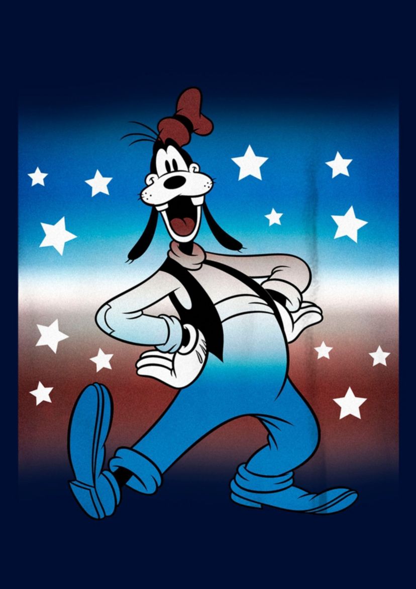 Patriotic Goof Graphic T-Shirt