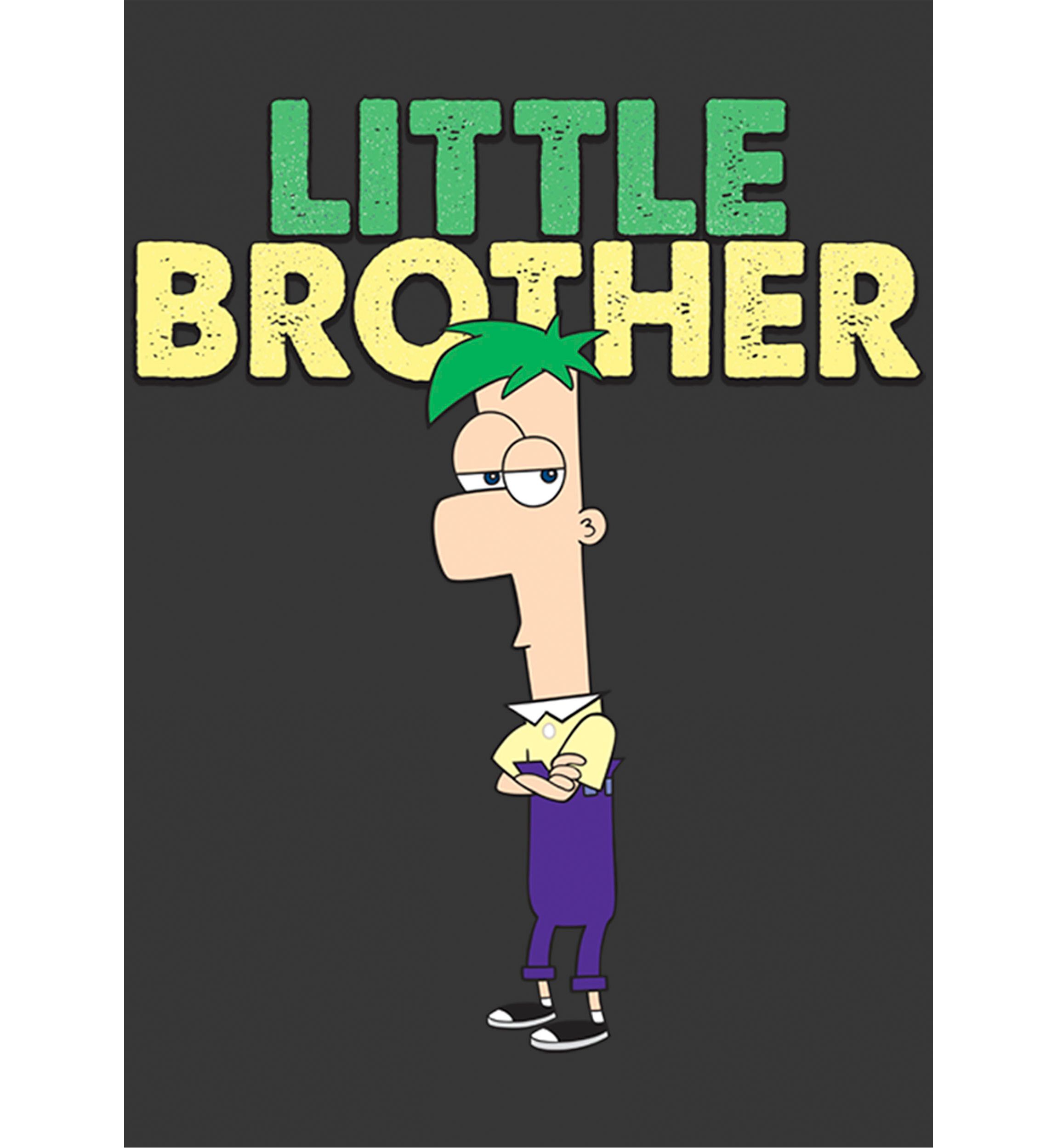 Boys 4-7 The Green Brother Graphic T-Shirt