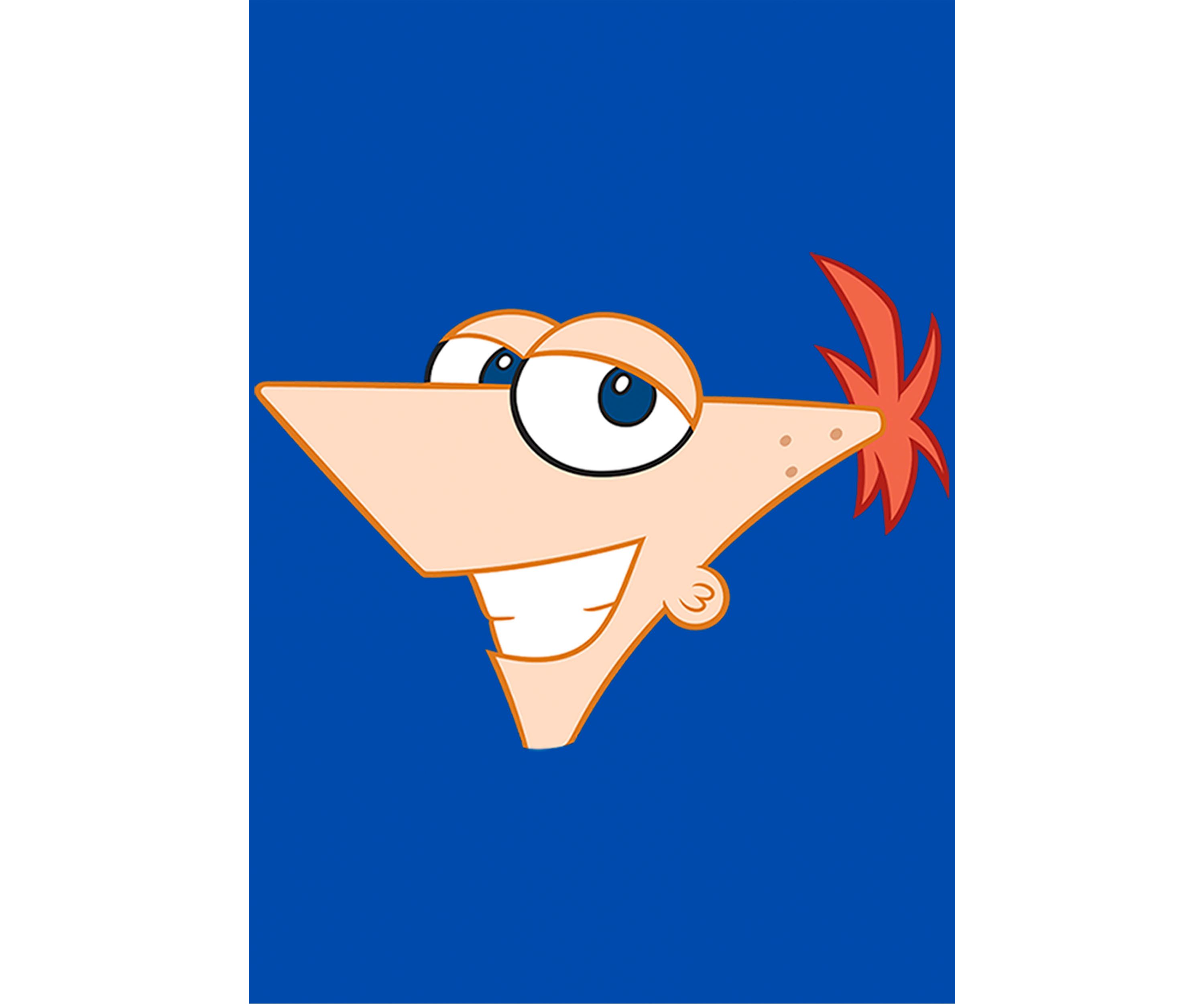 Boys 4-7 Phineas and Ferb Large Phineas Top