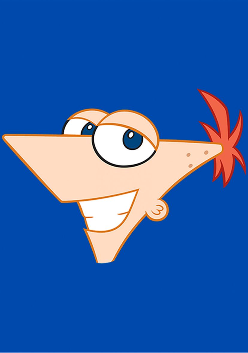 Boys 4-7 Phineas and Ferb Large Phineas Top
