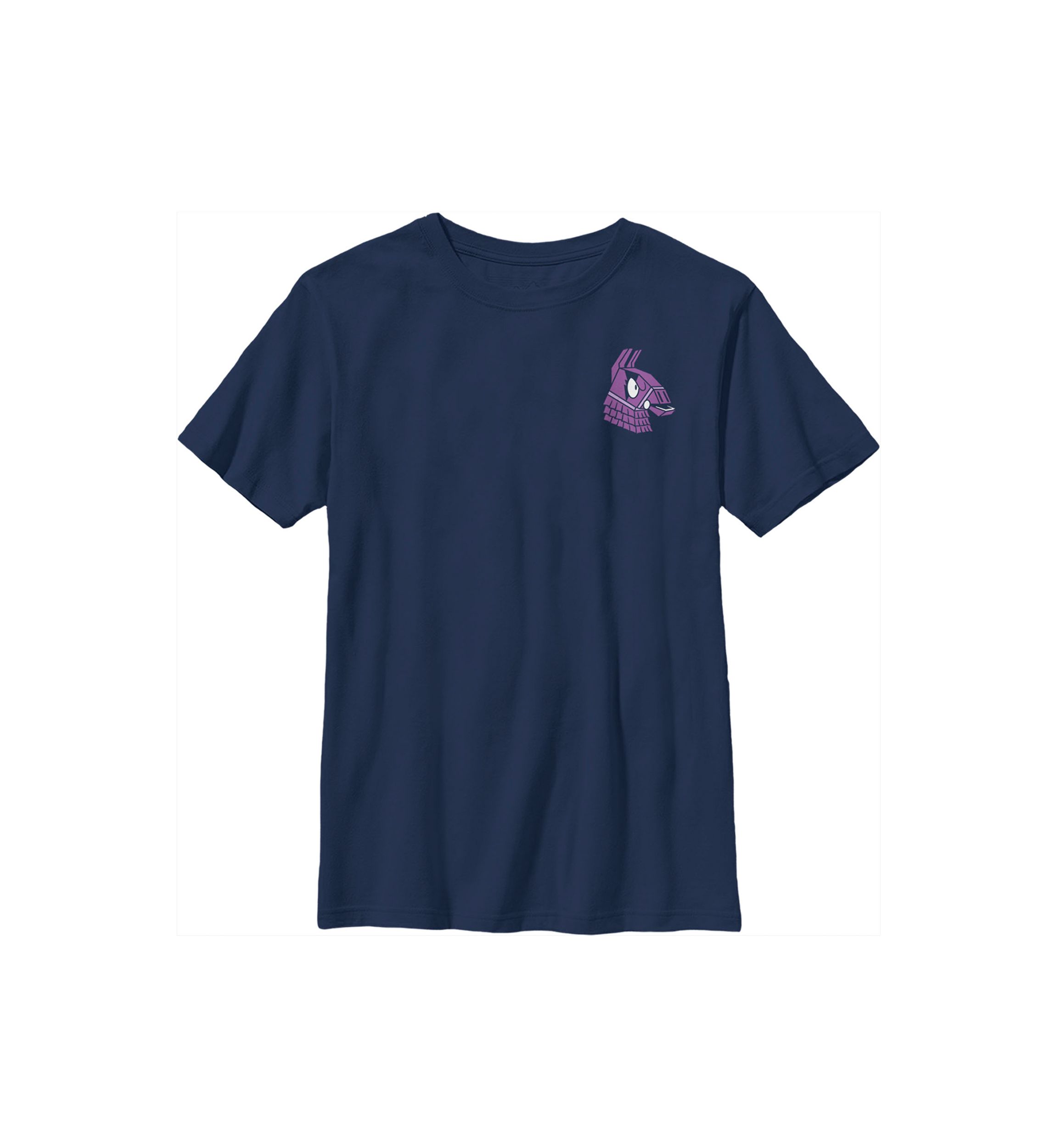 Boys 4-7  Fierce Llama Graphic T-Shirt