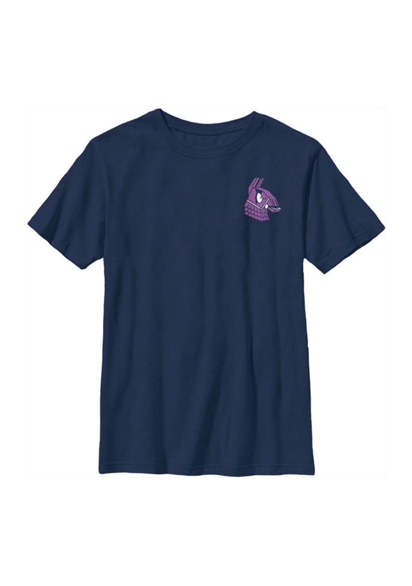 Boys 4-7  Fierce Llama Graphic T-Shirt