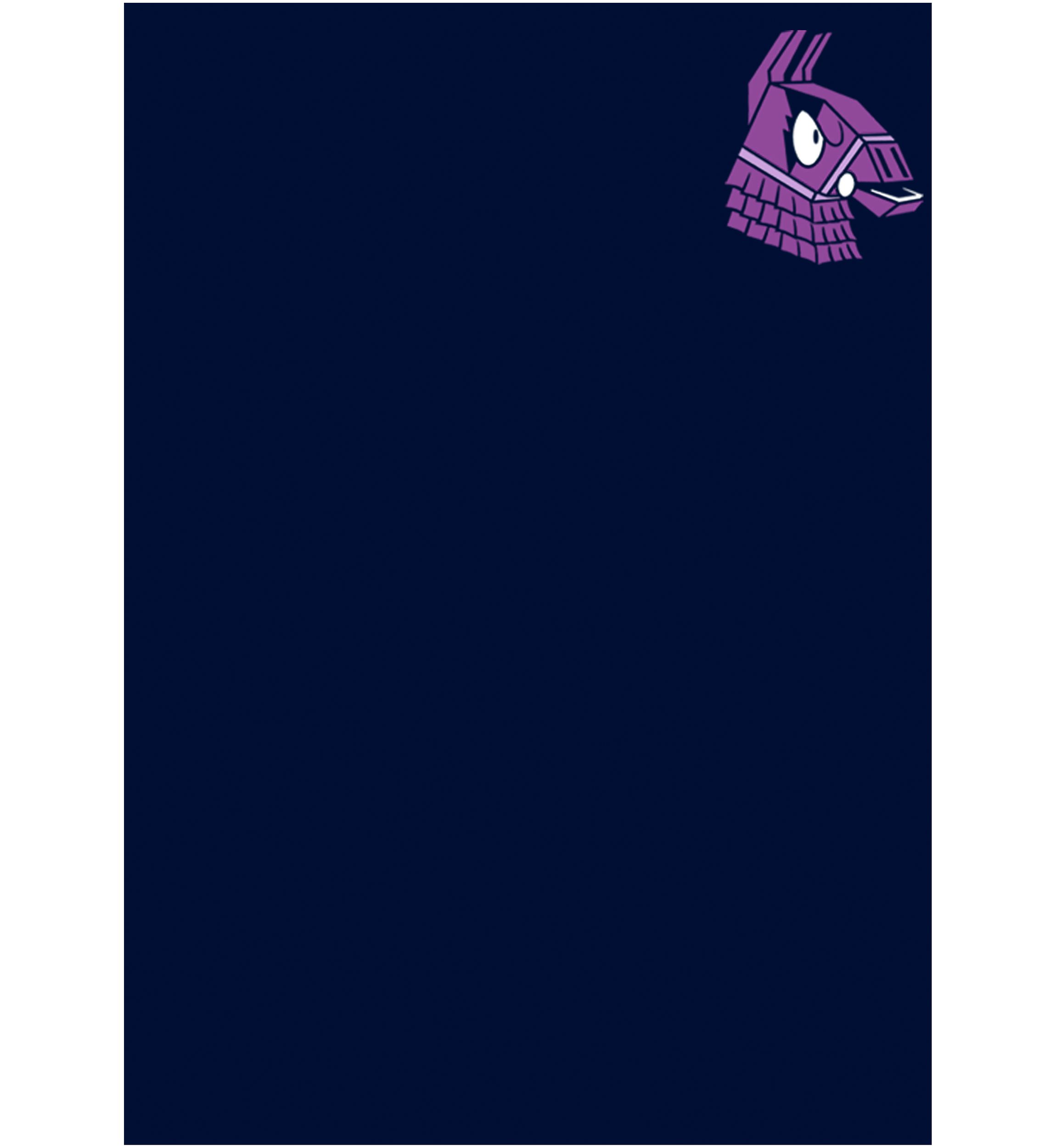 Boys 4-7  Fierce Llama Graphic T-Shirt