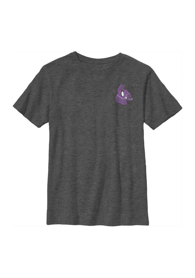 Boys 4-7  Fierce Llama Graphic T-Shirt