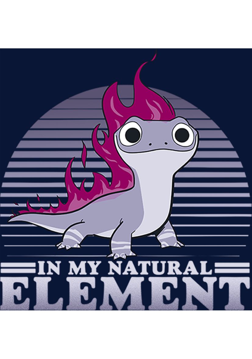 Boys 4-7 Frozen Element Flames Graphic T-Shirt