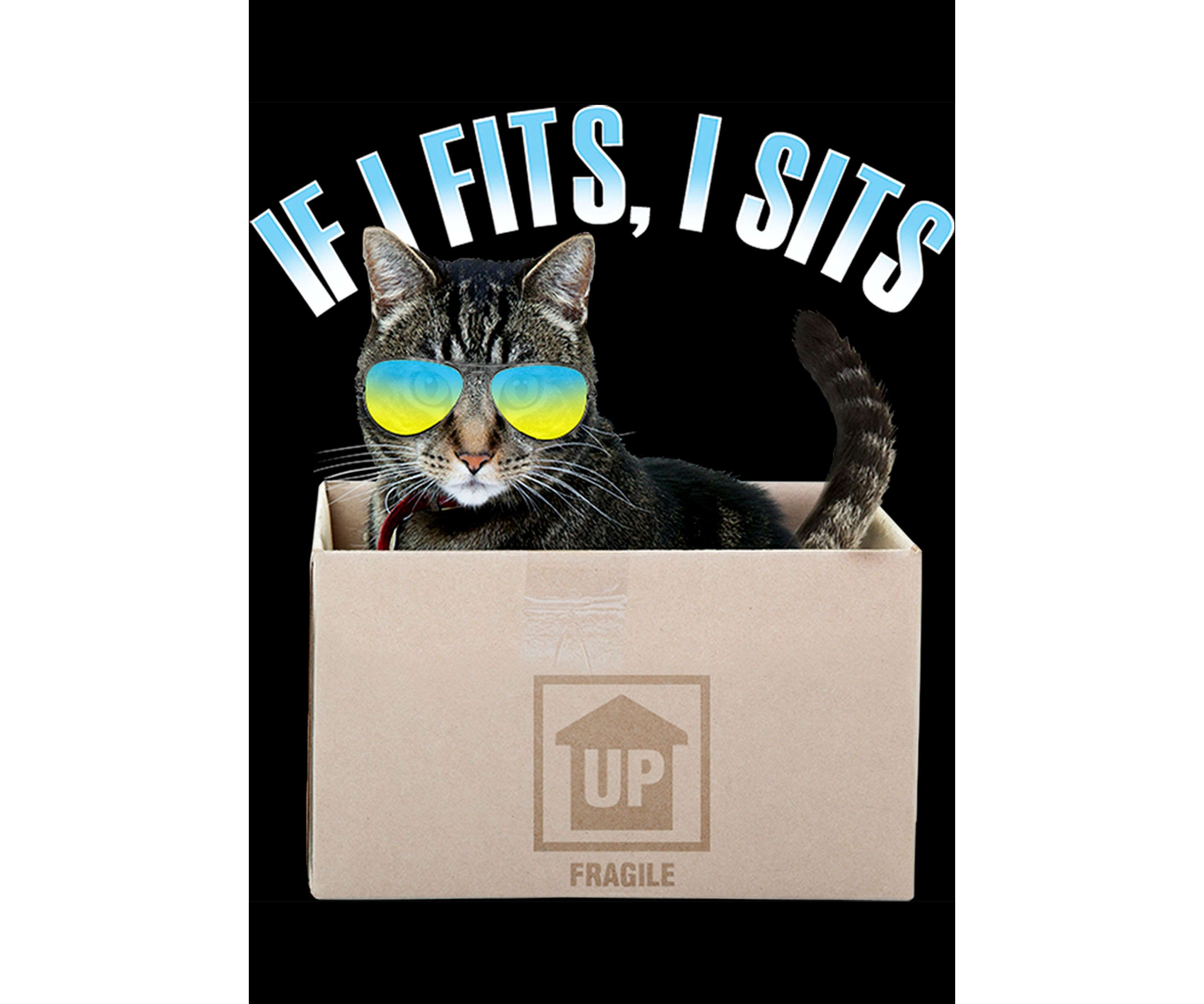 Boys 4-7 Cat Fits T-Shirt