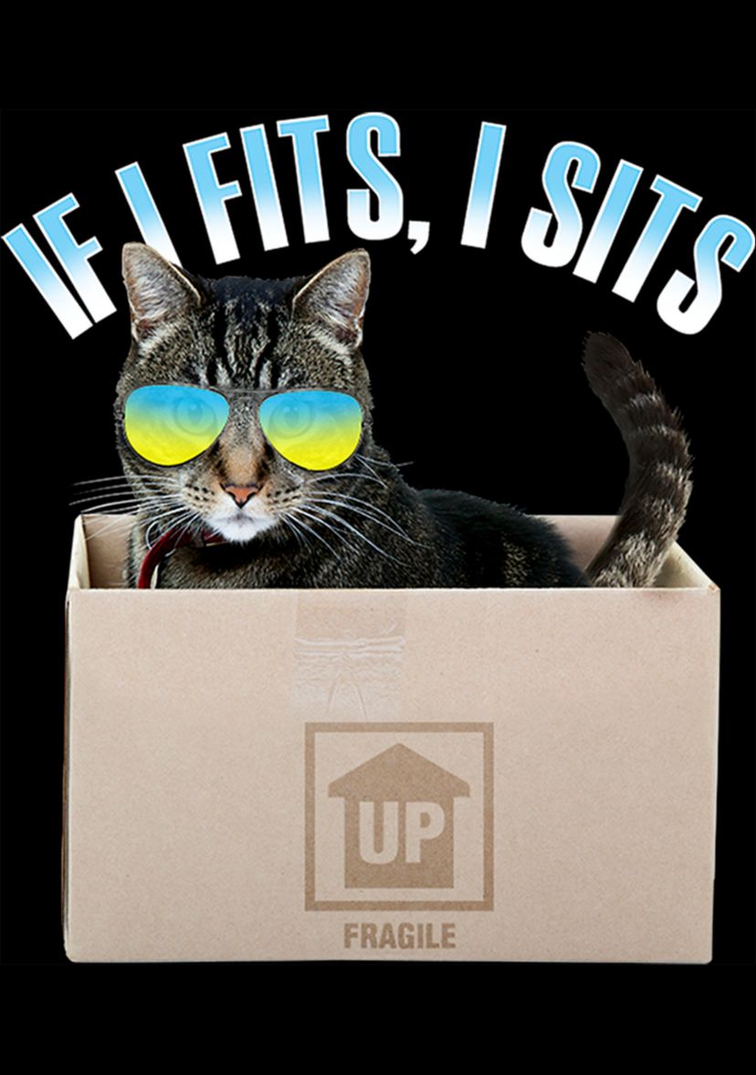 Boys 4-7 Cat Fits T-Shirt