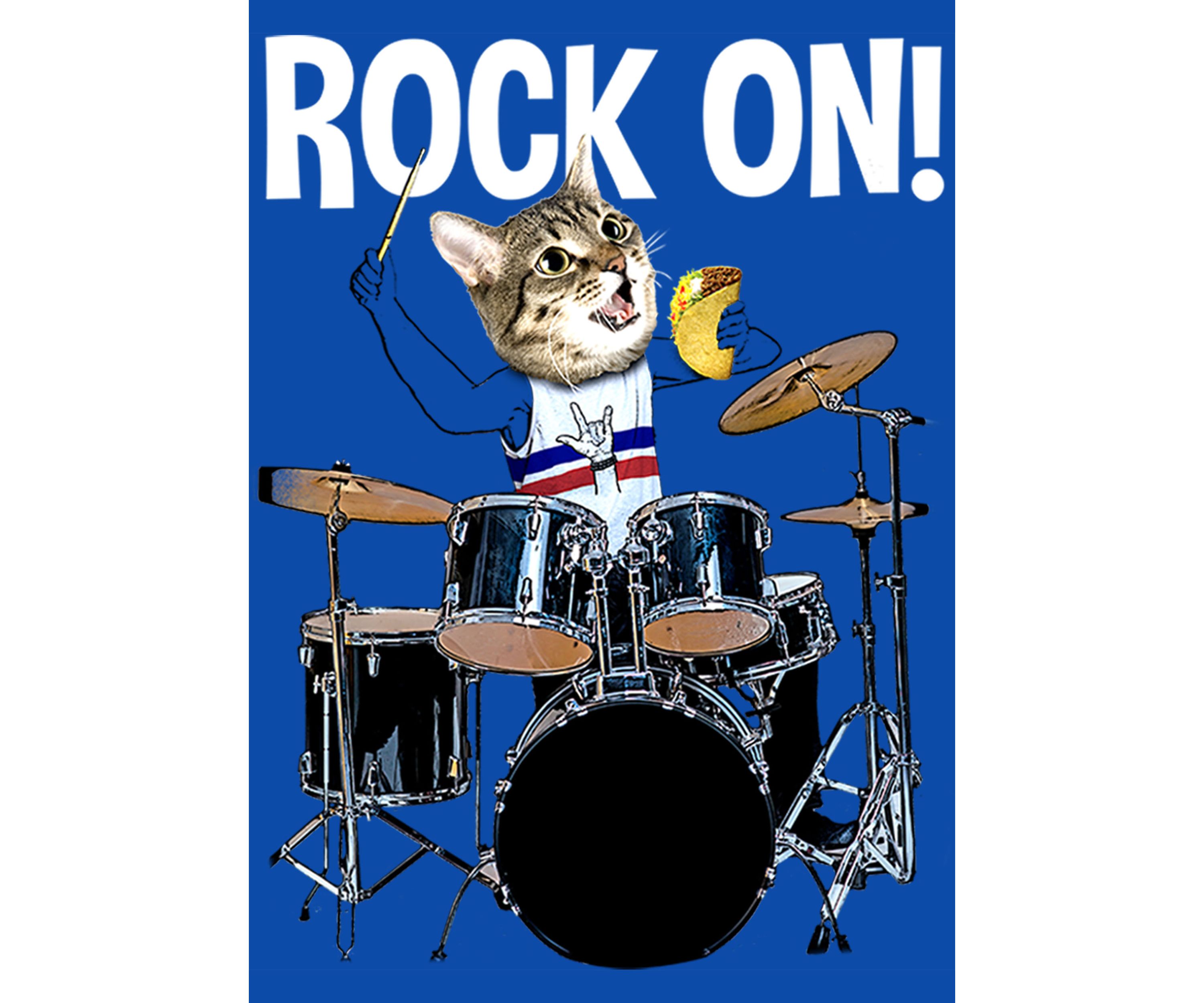 Boys 4-7 Rockin Cat T-Shirt