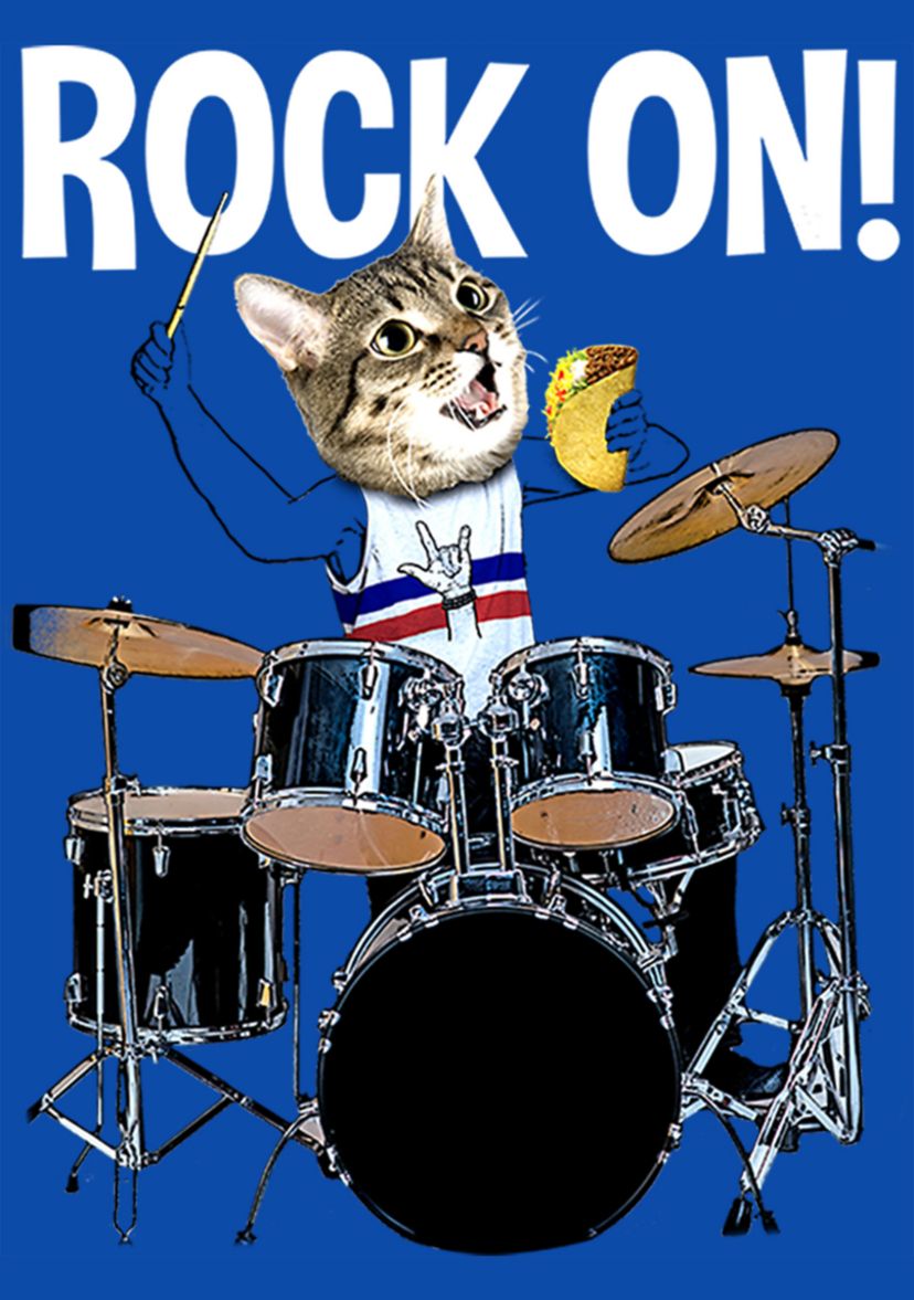Boys 4-7 Rockin Cat T-Shirt