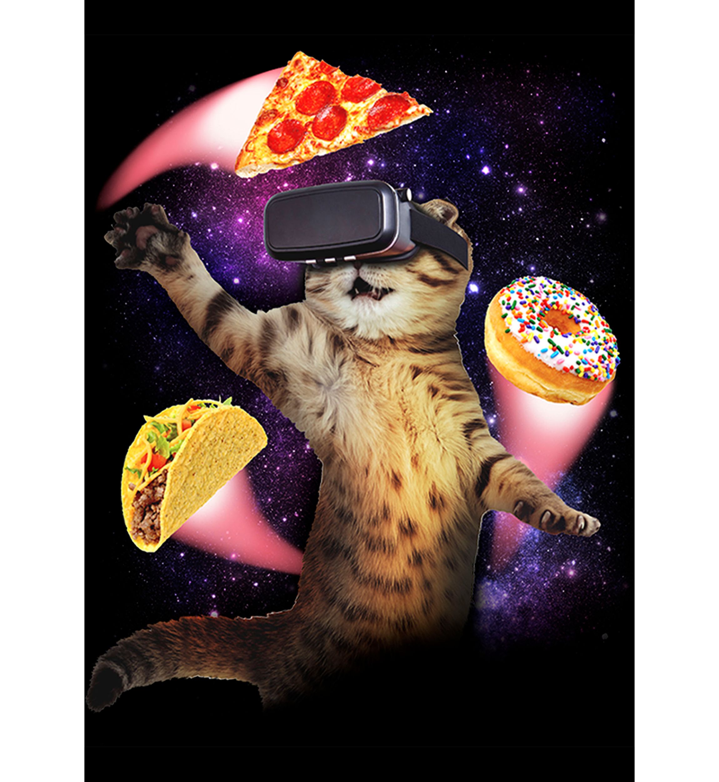 Boys 4-7 VR Cat T-Shirt