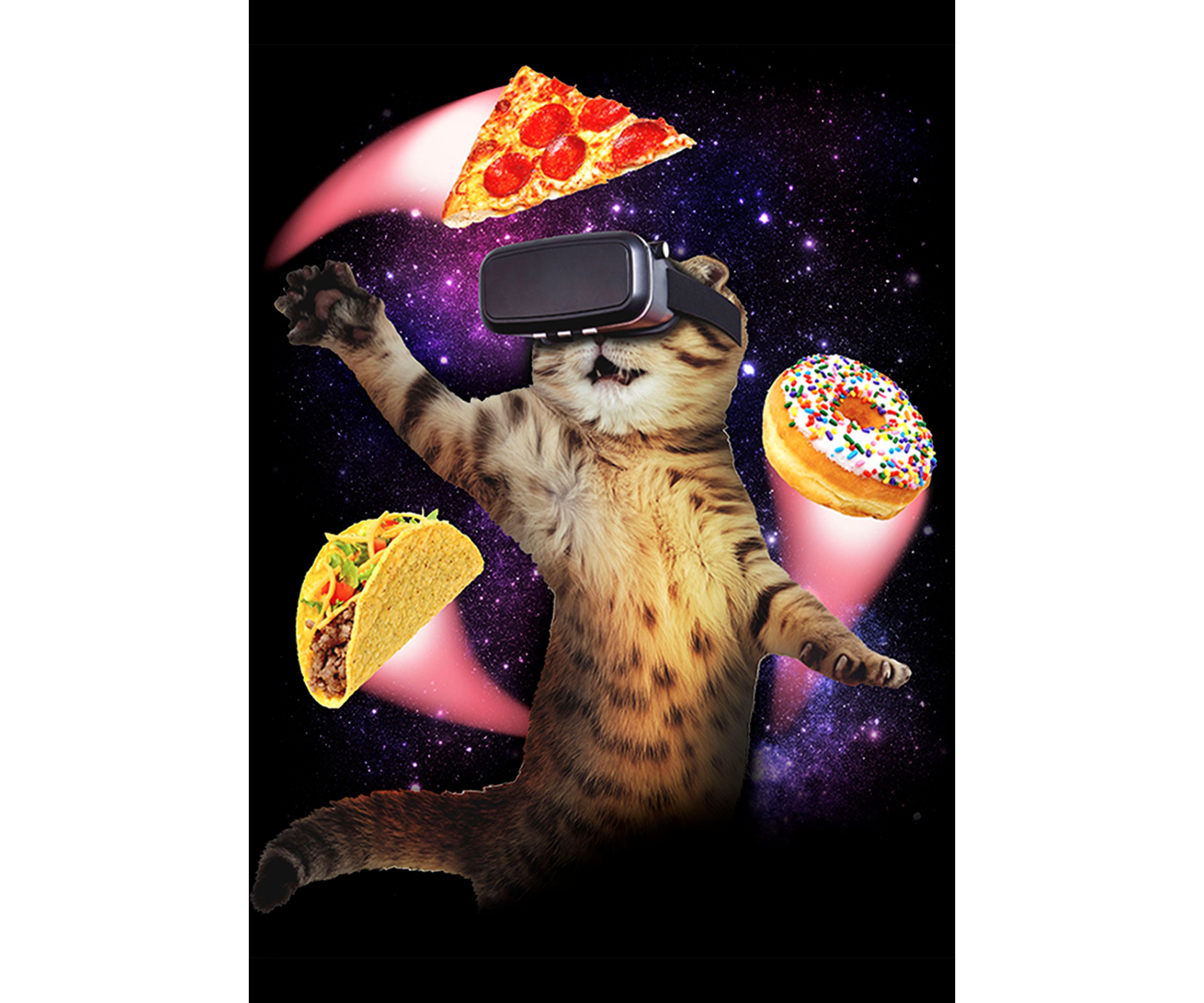 Boys 4-7 VR Cat T-Shirt