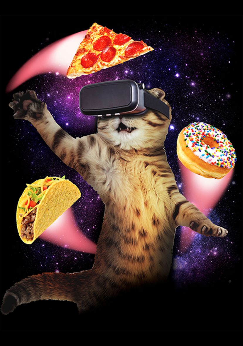 Boys 4-7 VR Cat T-Shirt