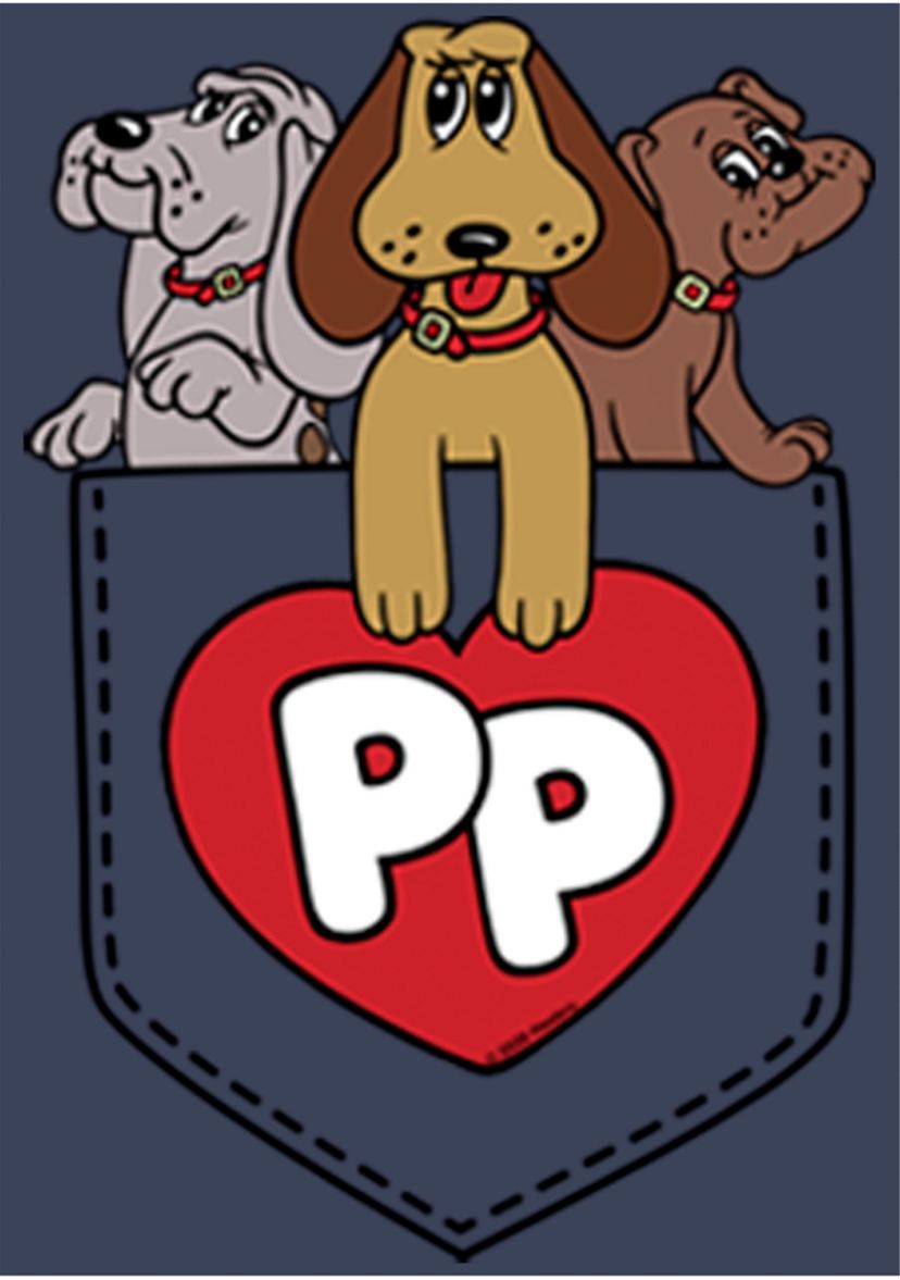 Boys 4-7  Puppy Pocket Graphic T-Shirt