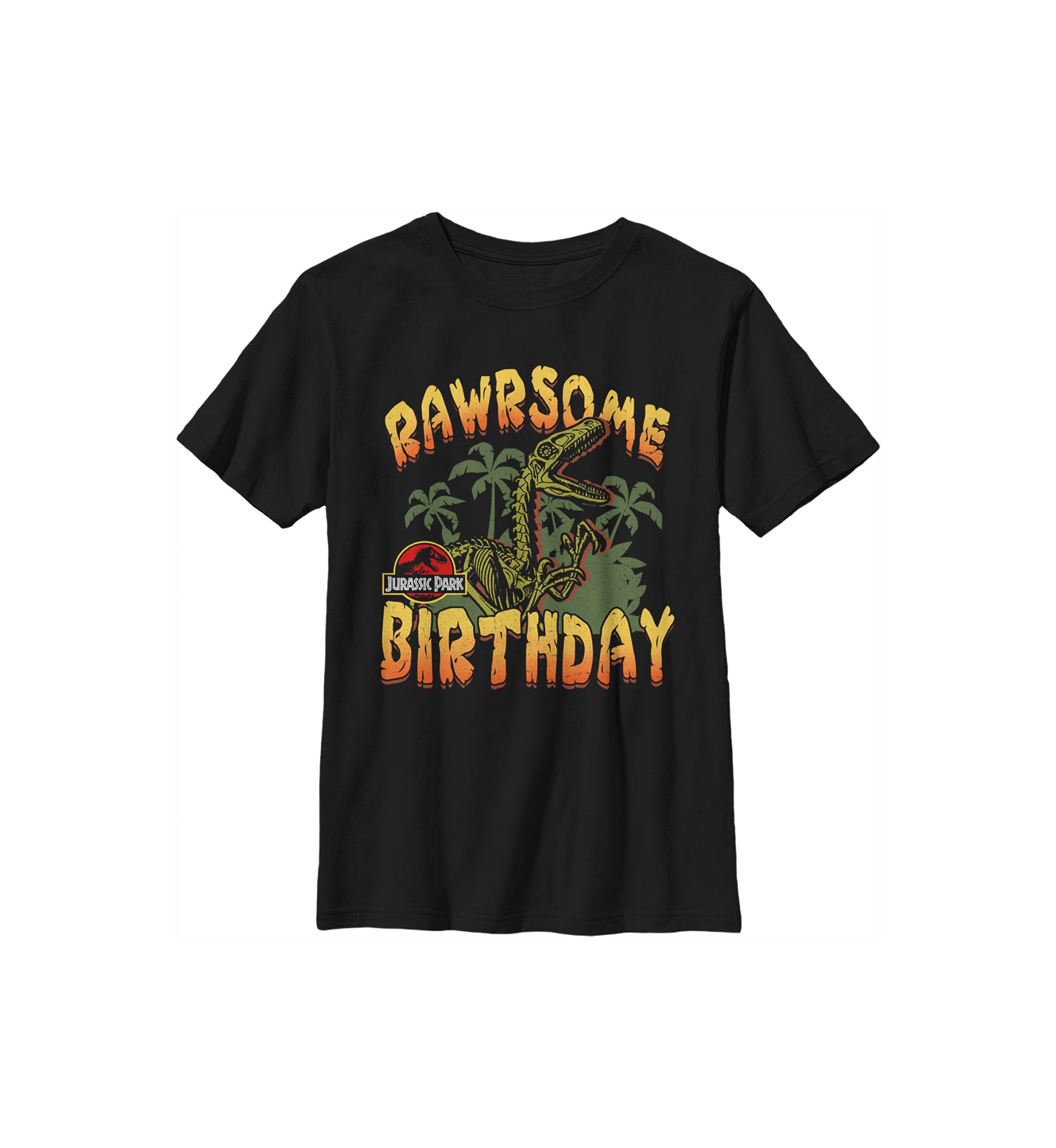 Boys 4-7  Rawrsome Birthday Graphic T-Shirt