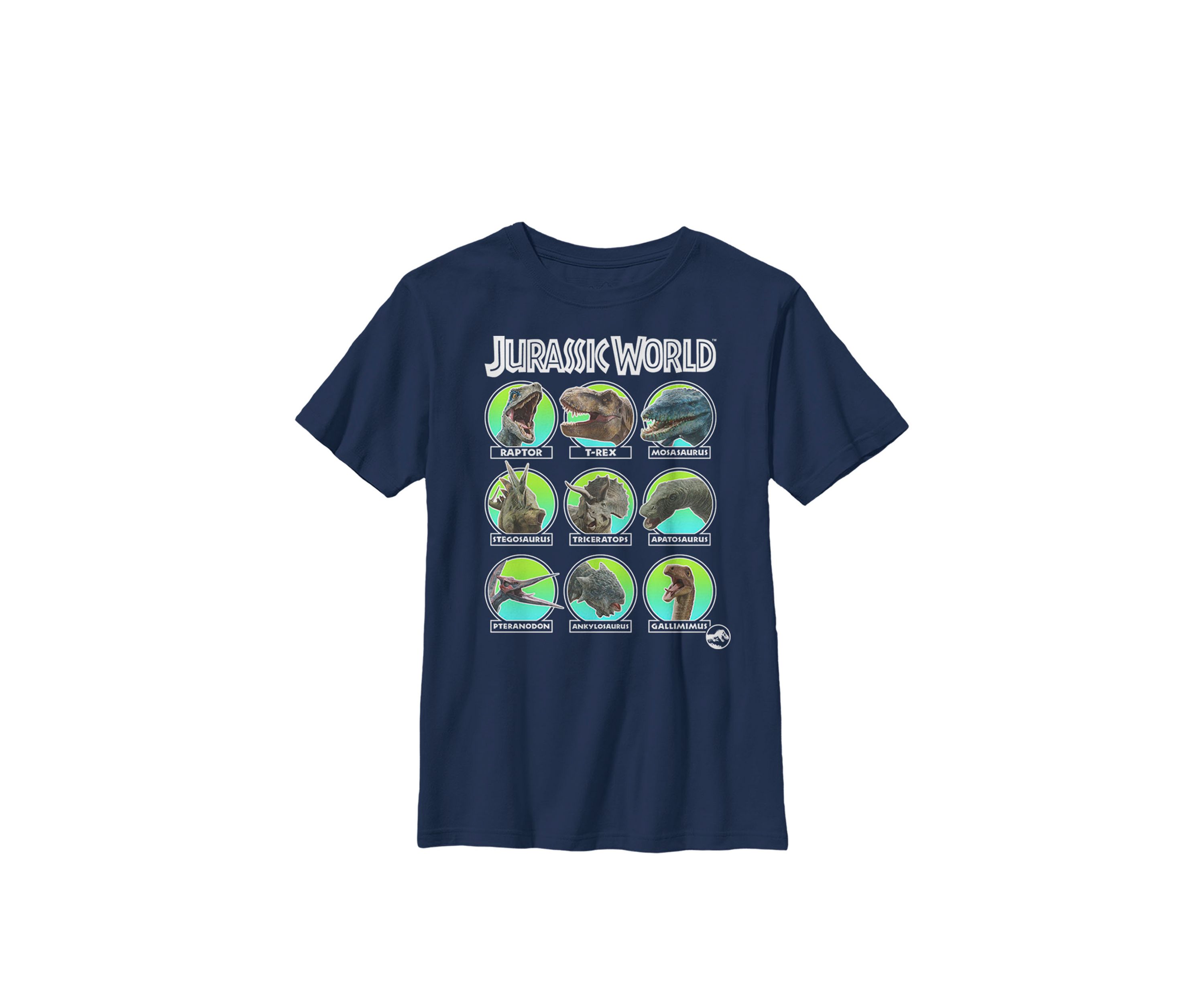 Dino Identification and Names Crew Graphic T-Shirt
