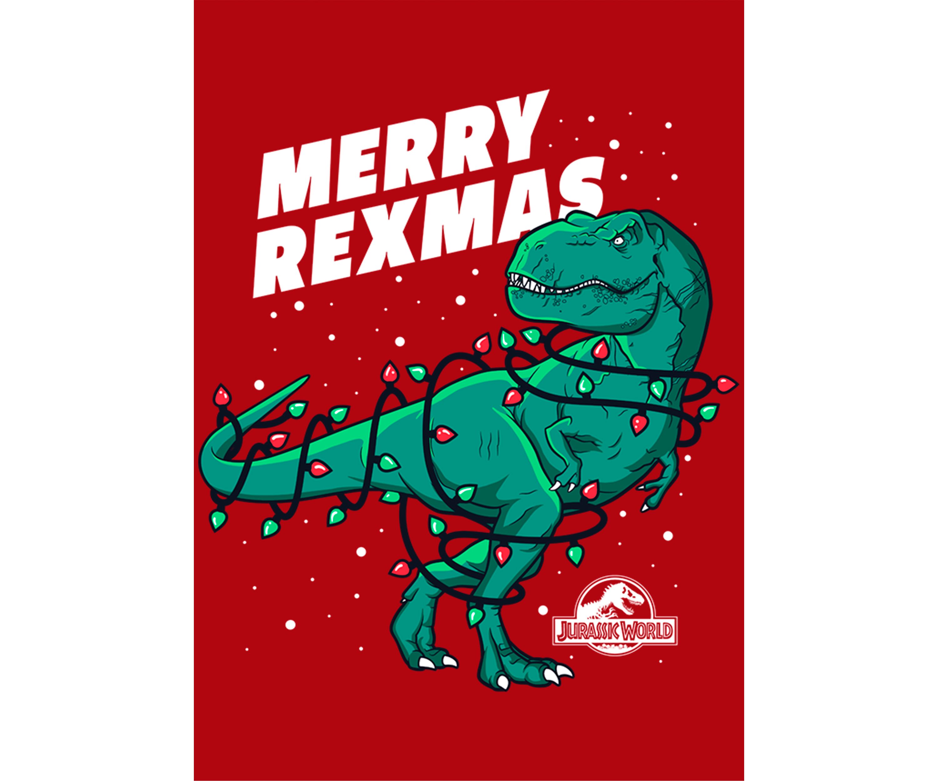 Boys 4-7 Merry Rexmas Graphic Top