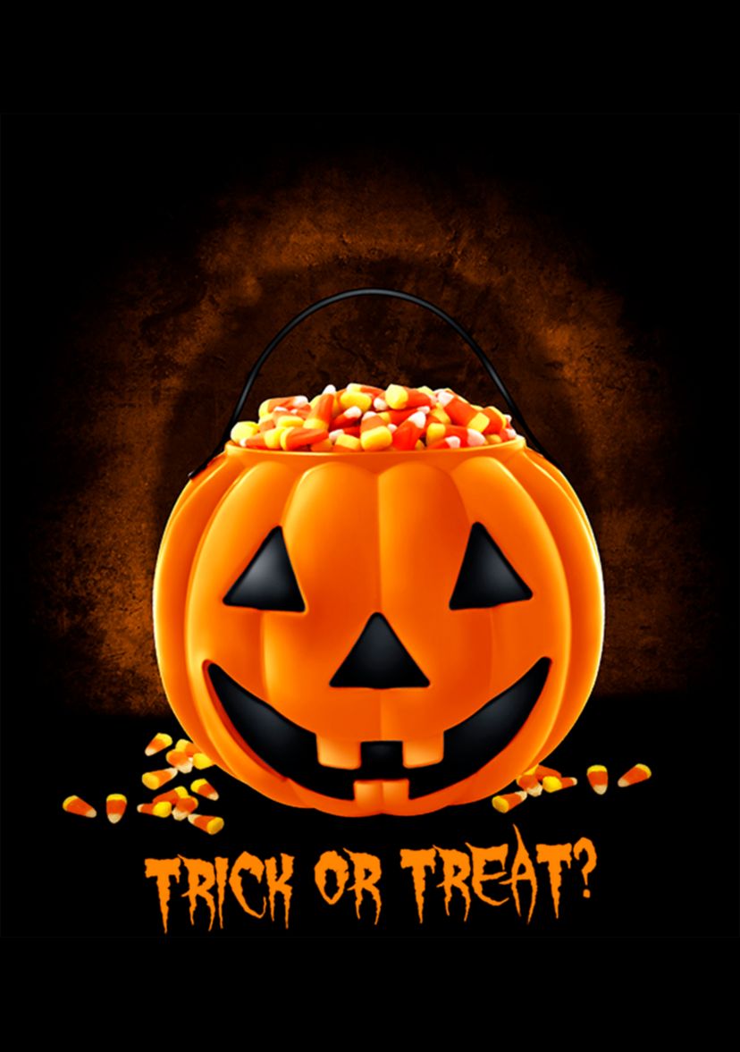Boys 4-7 trick or treat T-Shirt