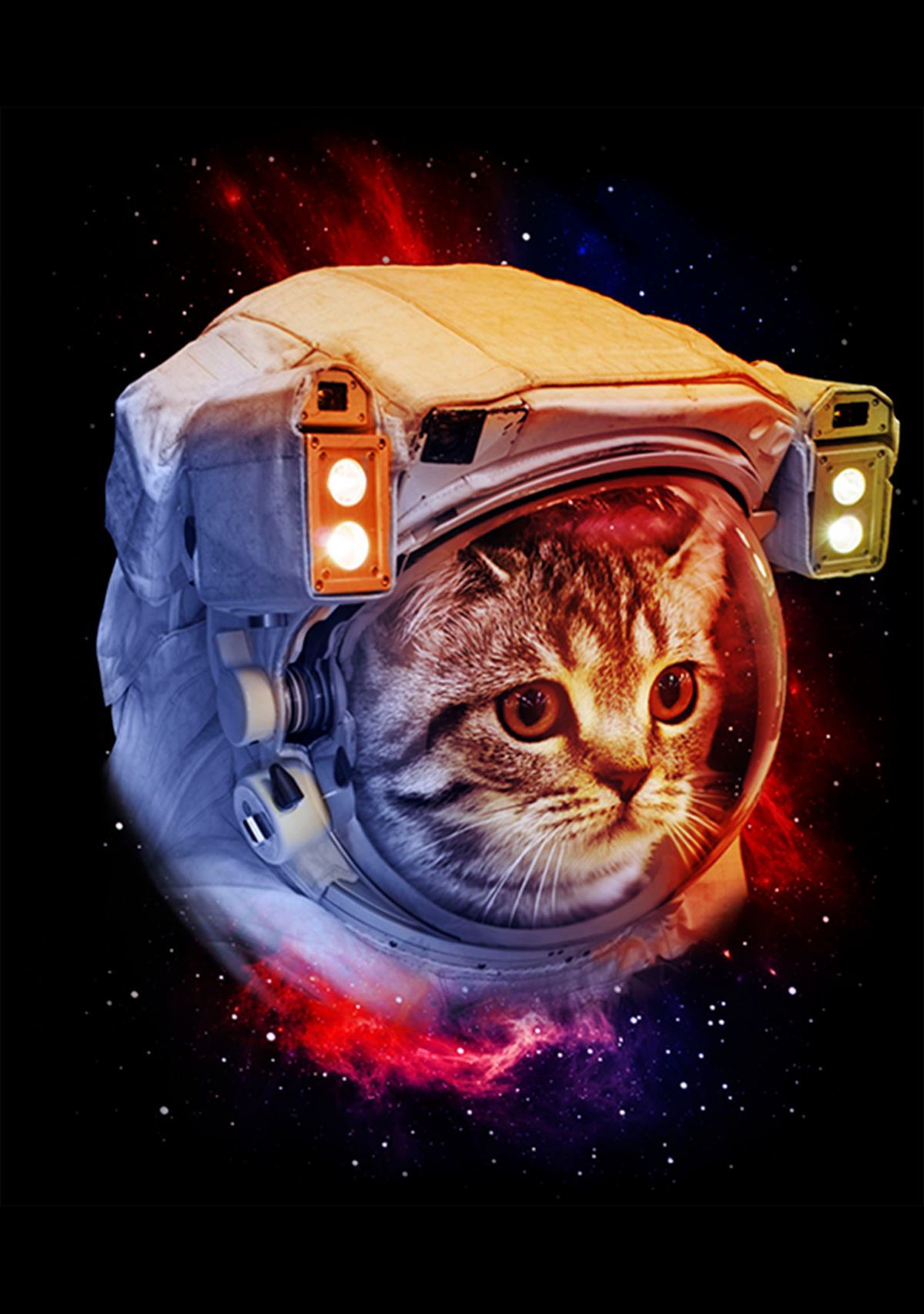 Boys 4-7 Major Tomcat T-Shirt