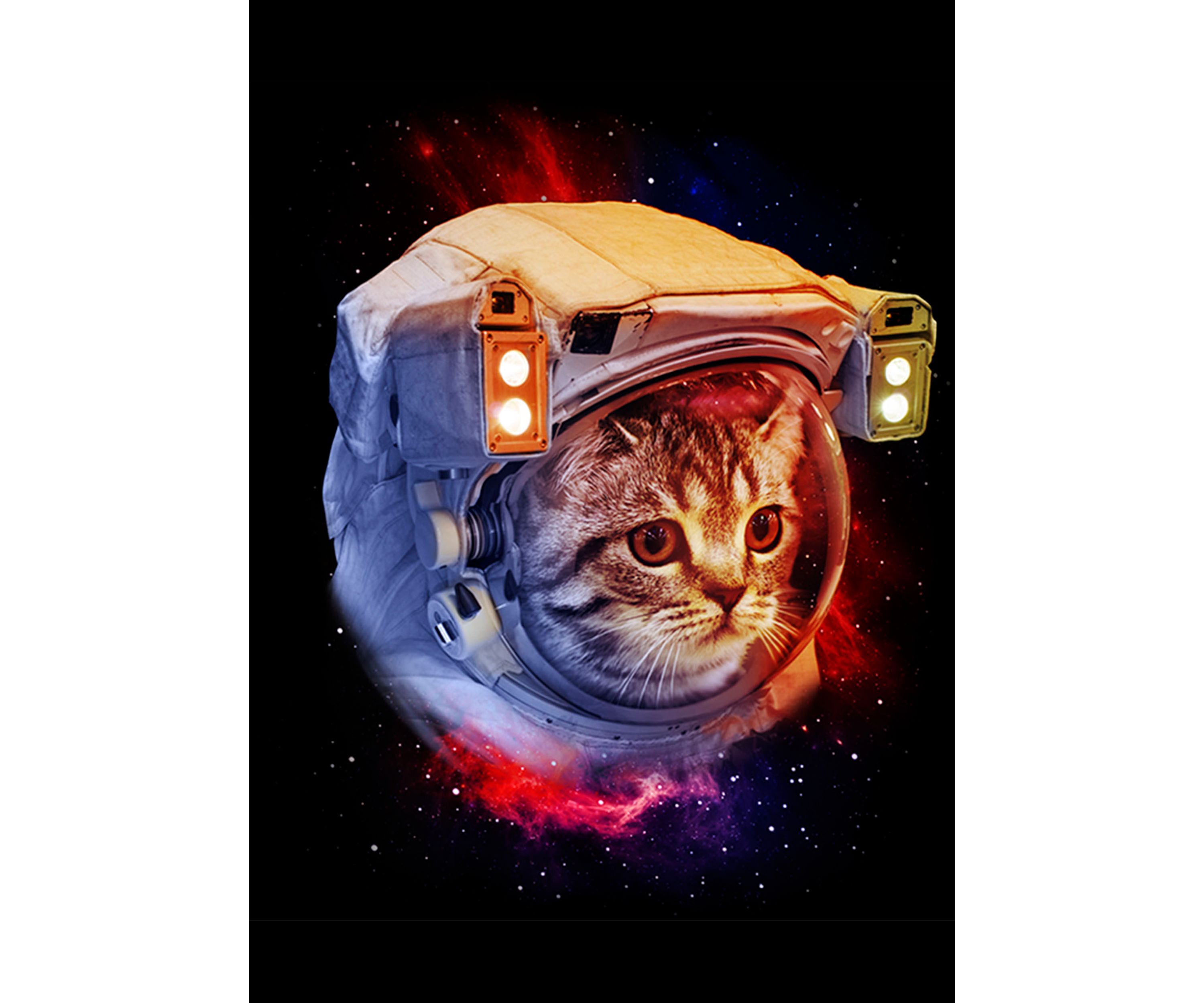 Boys 4-7 Major Tomcat T-Shirt