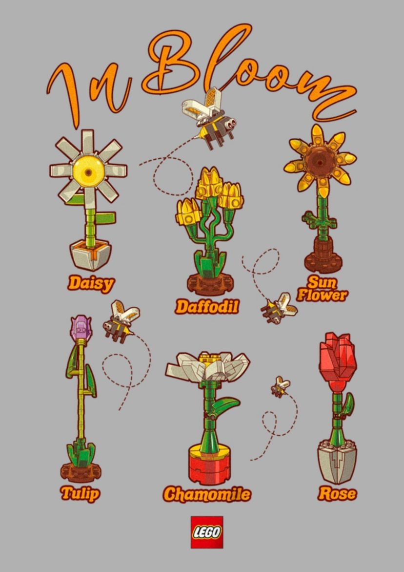 Textbook Inbloom Graphic T-Shirt