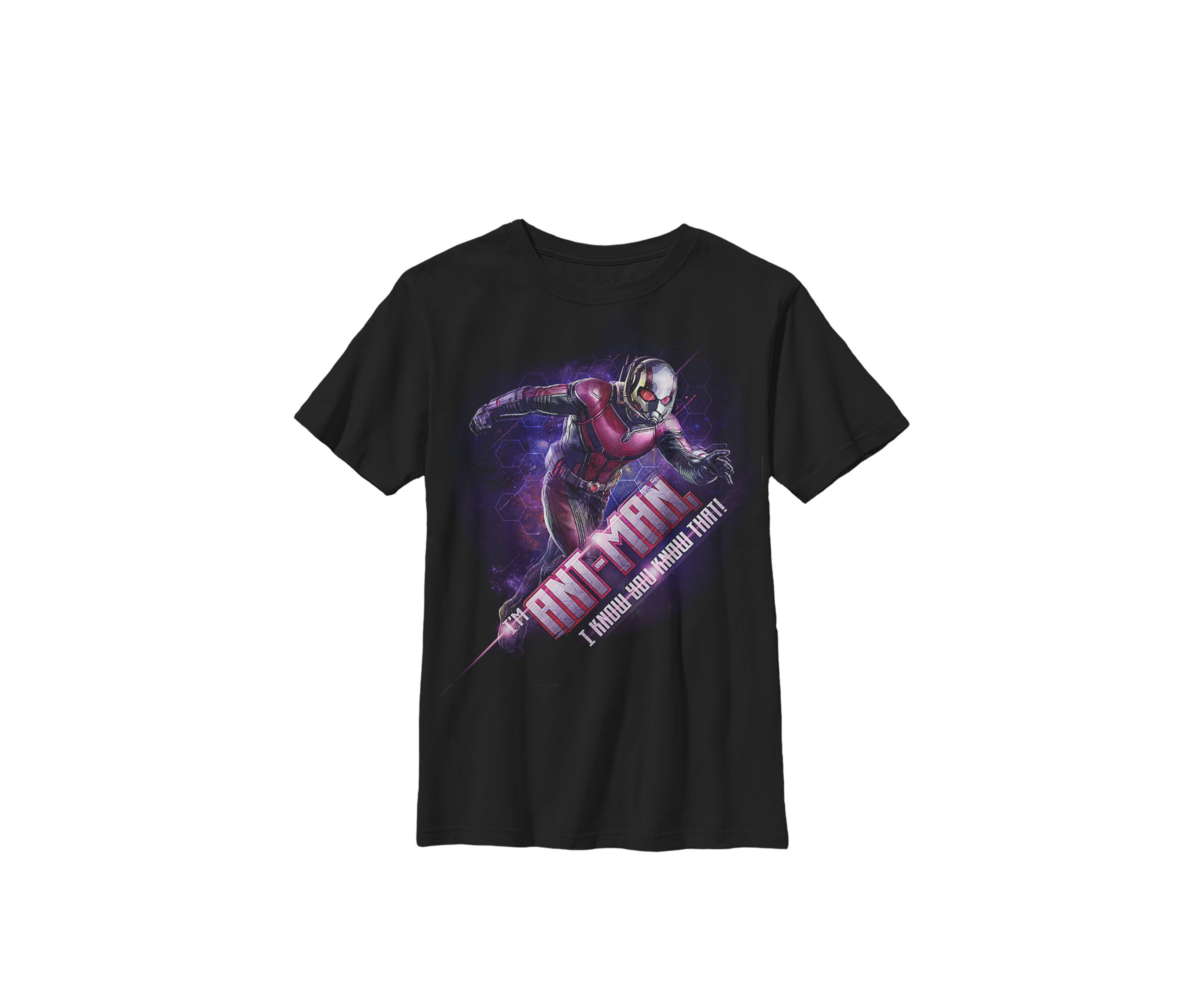 Boys 8-20 Avengers Endgame Ant-Man Quote Portrait Graphic T-Shirt