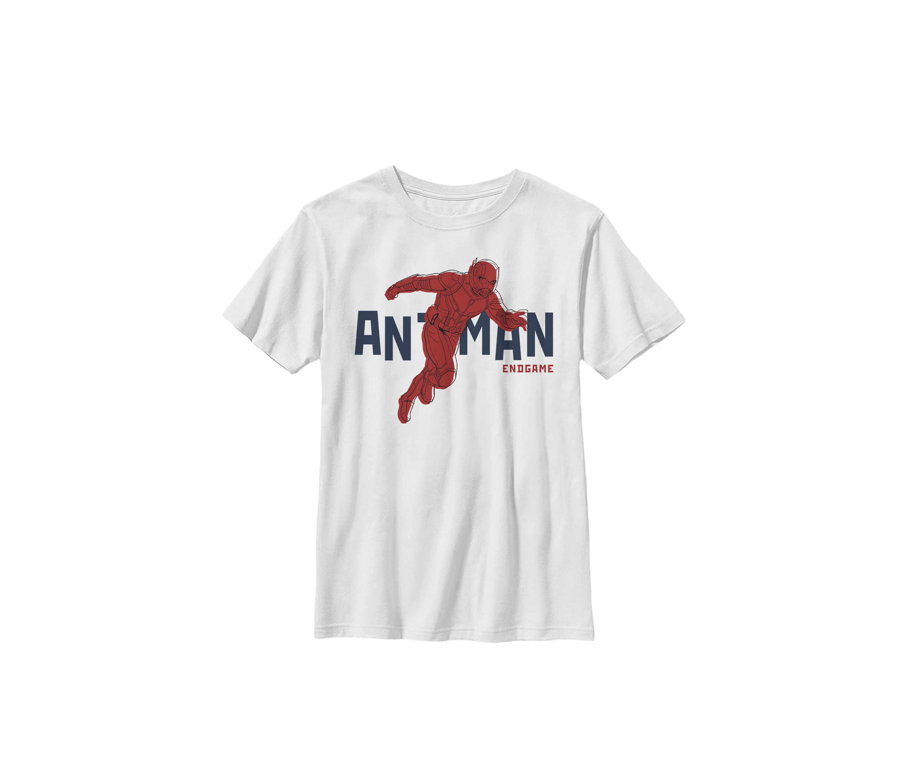 Boys 8-20  Avengers Endgame Ant-Man Bold Name Logo Graphic T-Shirt 