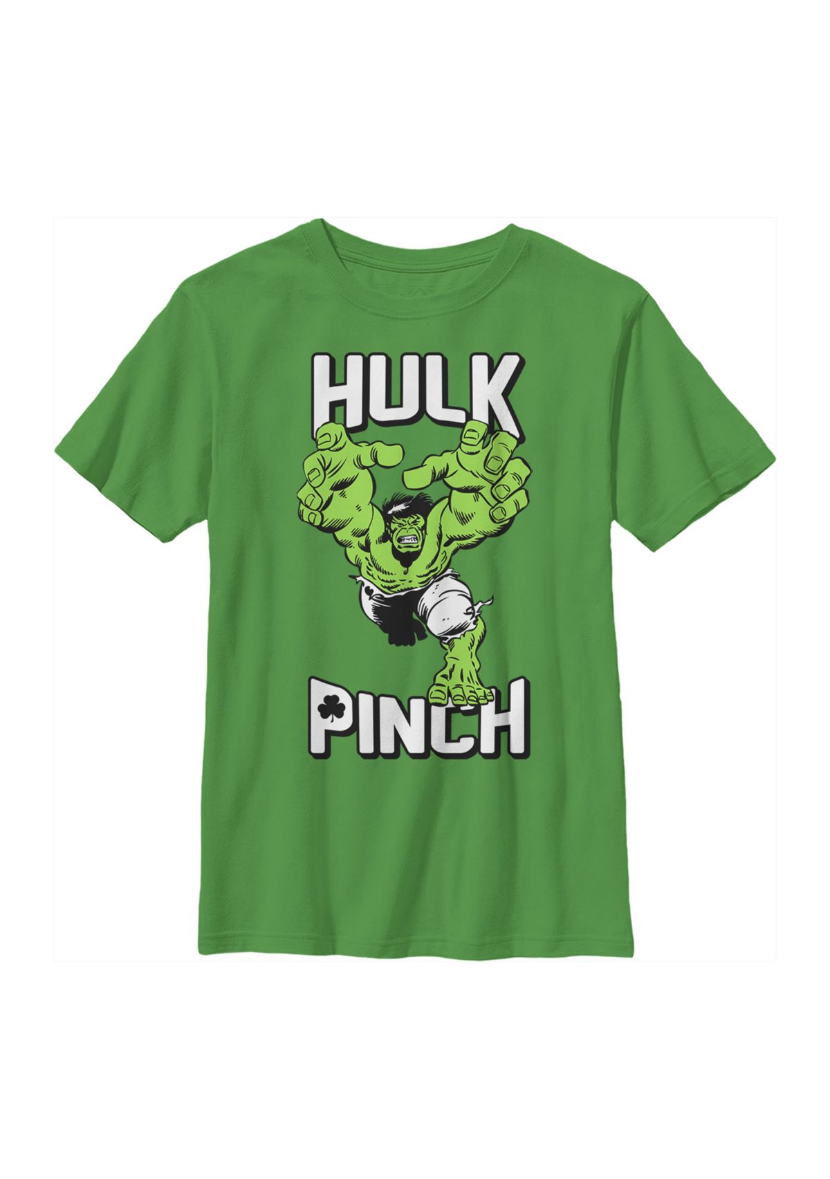 Boys 4-7  Hulk Pinch Graphic T-Shirt