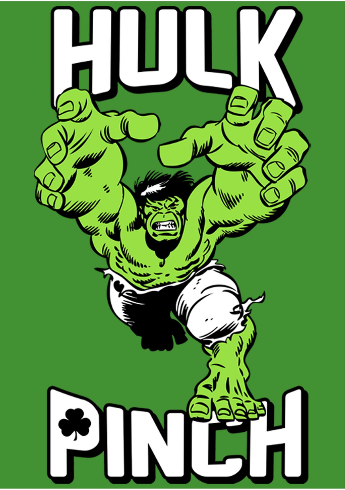 Boys 4-7  Hulk Pinch Graphic T-Shirt