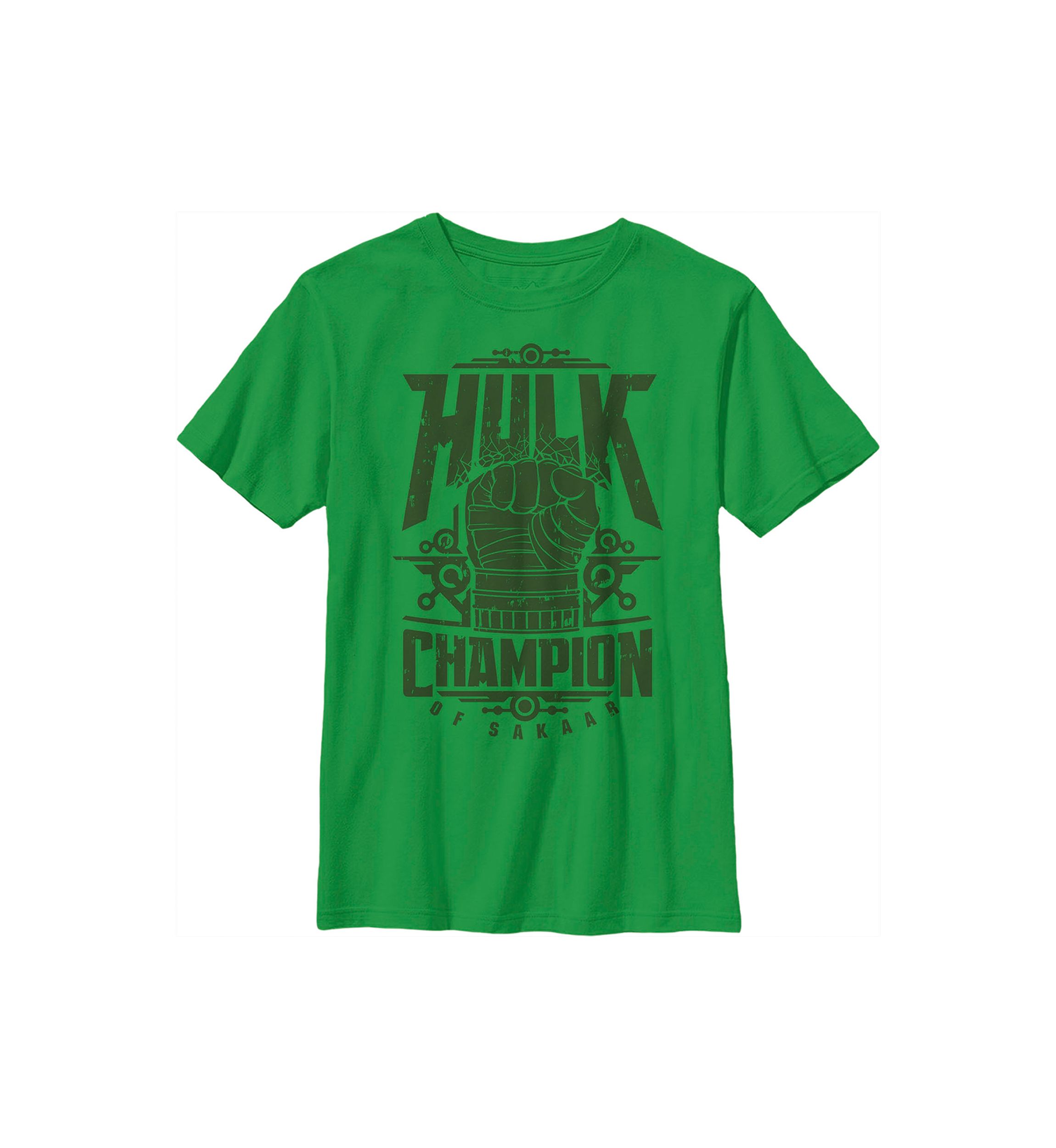 Boys 4-7 Champ Hulk Top
