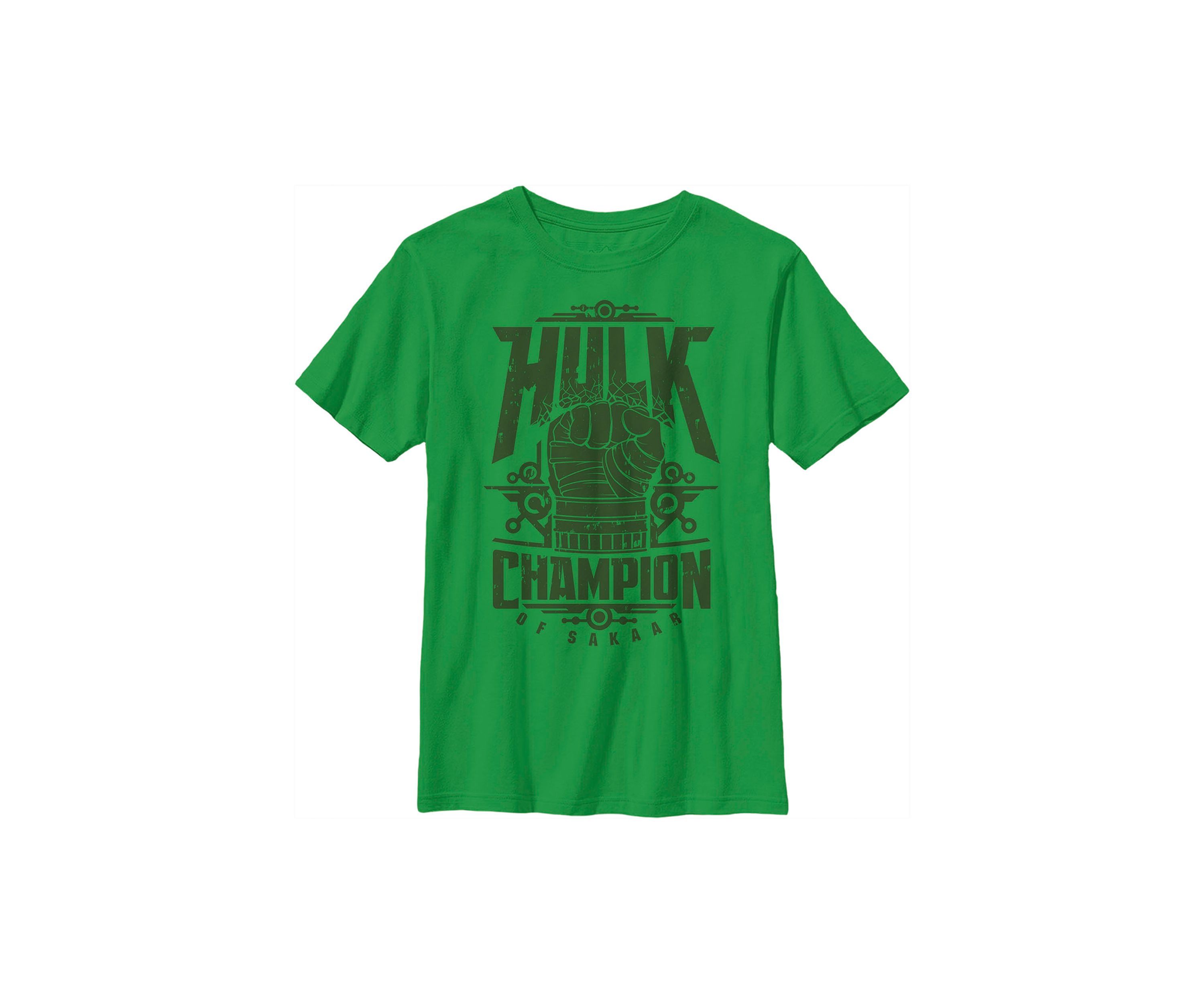 Boys 4-7 Champ Hulk Top