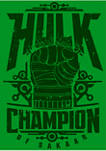 Boys 4-7 Champ Hulk Top