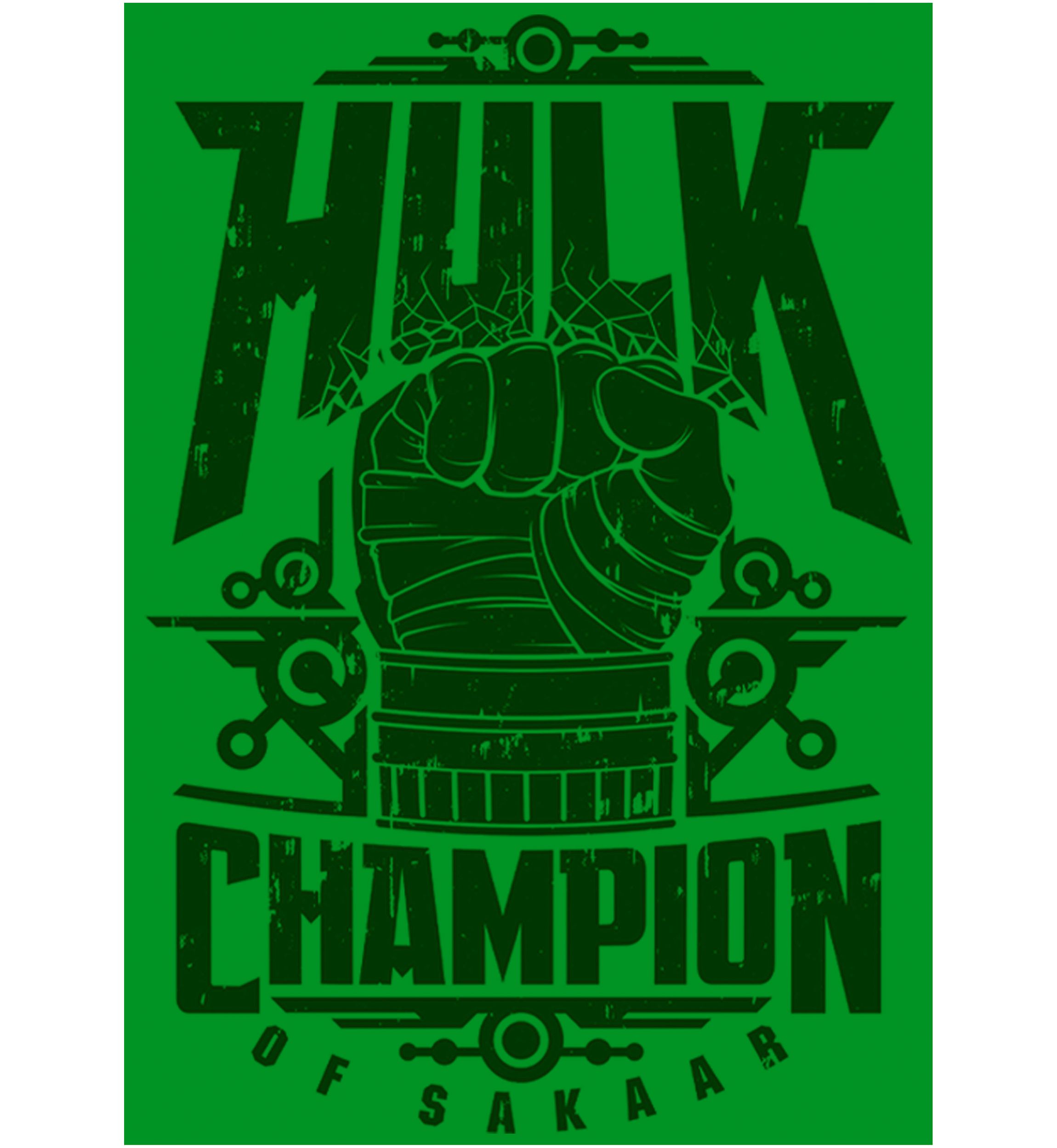Boys 4-7 Champ Hulk Top