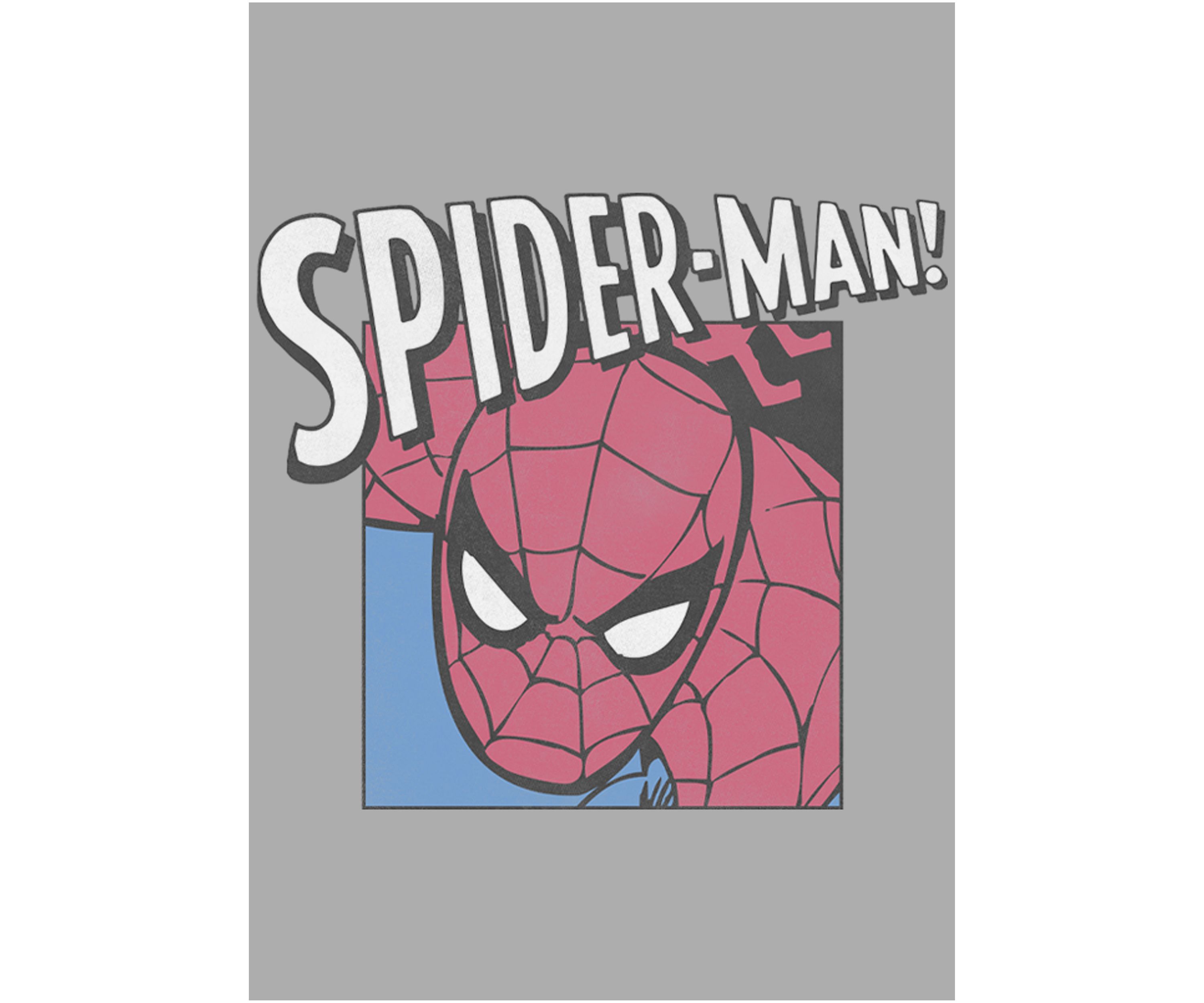 Boys 4-7 Large Spideys Top
