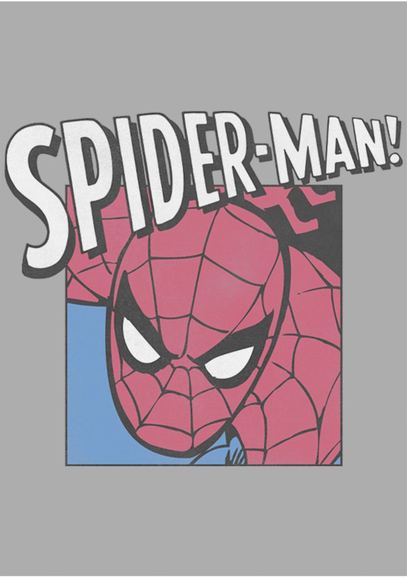 Boys 4-7 Large Spideys Top