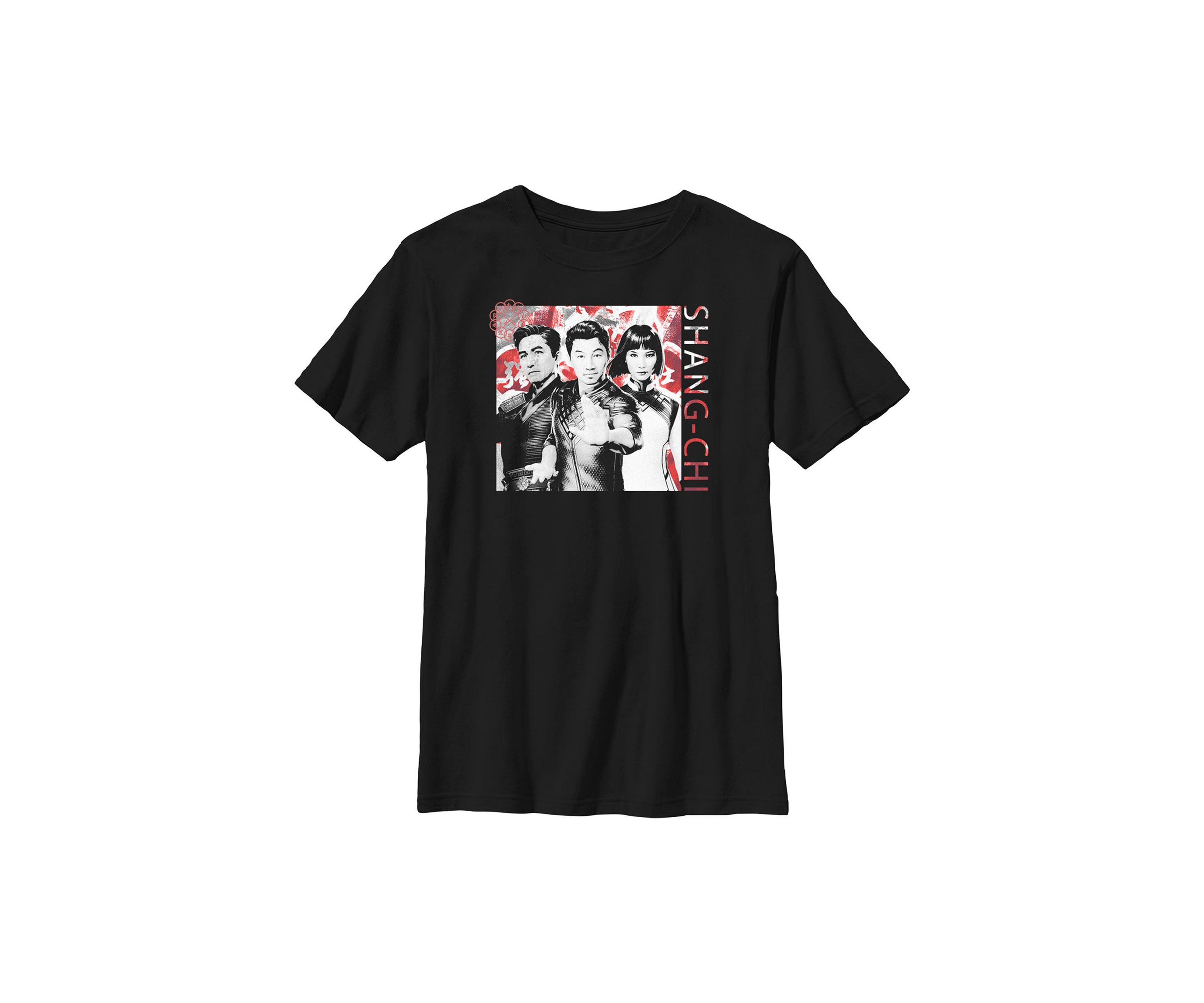 Family Group Graphic Top