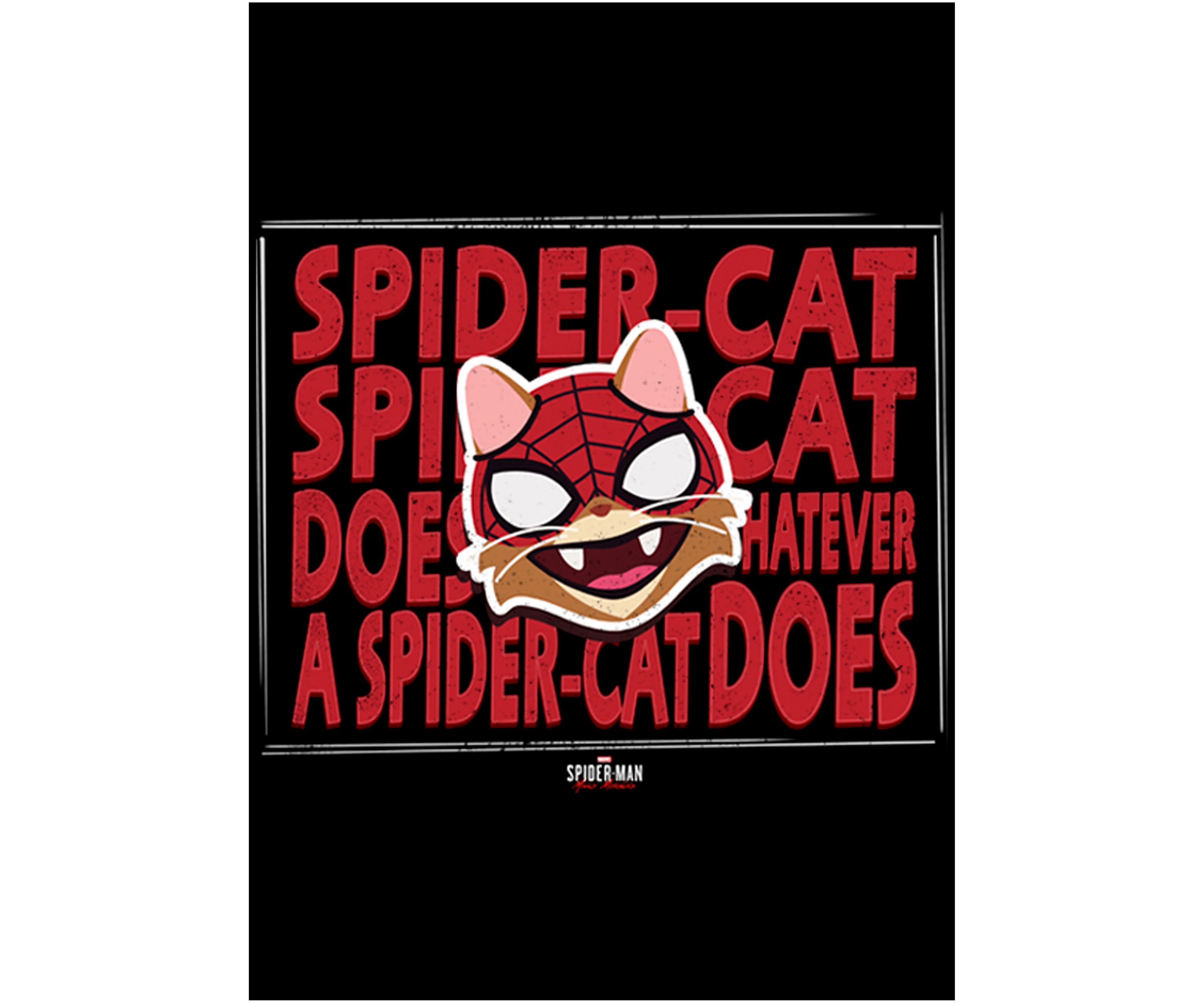 Boys 4-7 Whatever Spider Cat Top