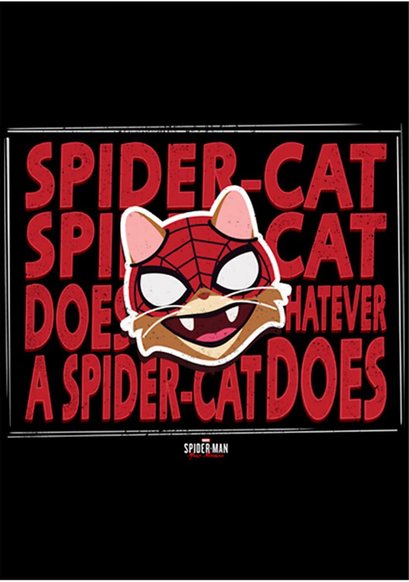 Boys 4-7 Whatever Spider Cat Top