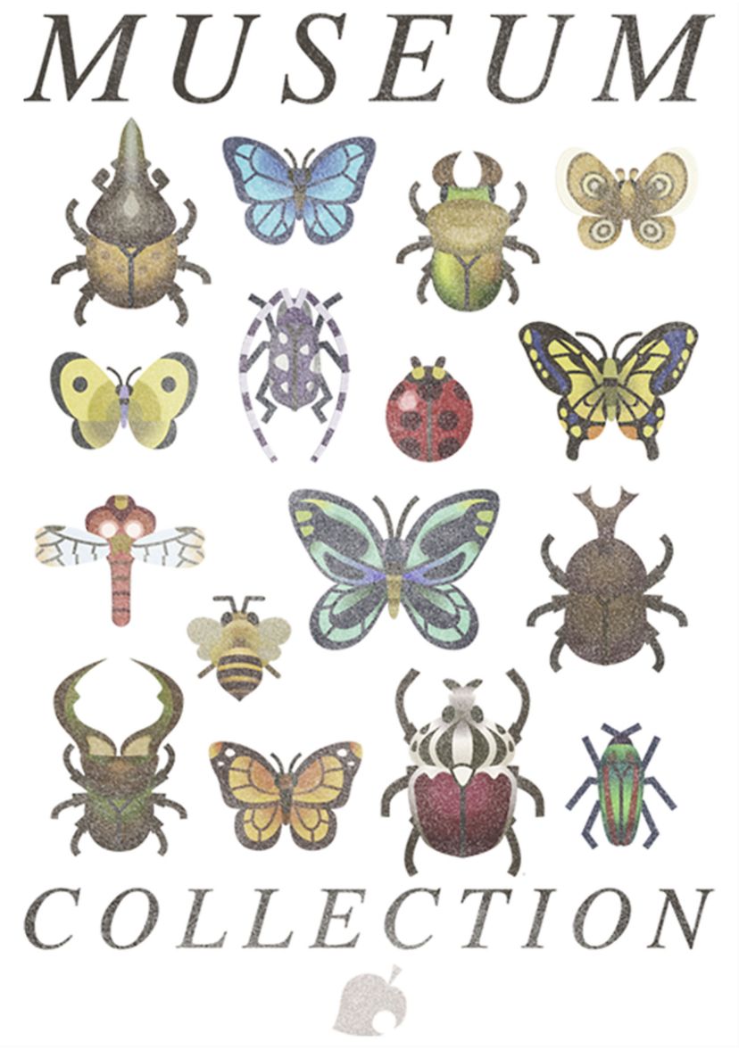 Boys 4-7 Bug Collection Graphic T-Shirt