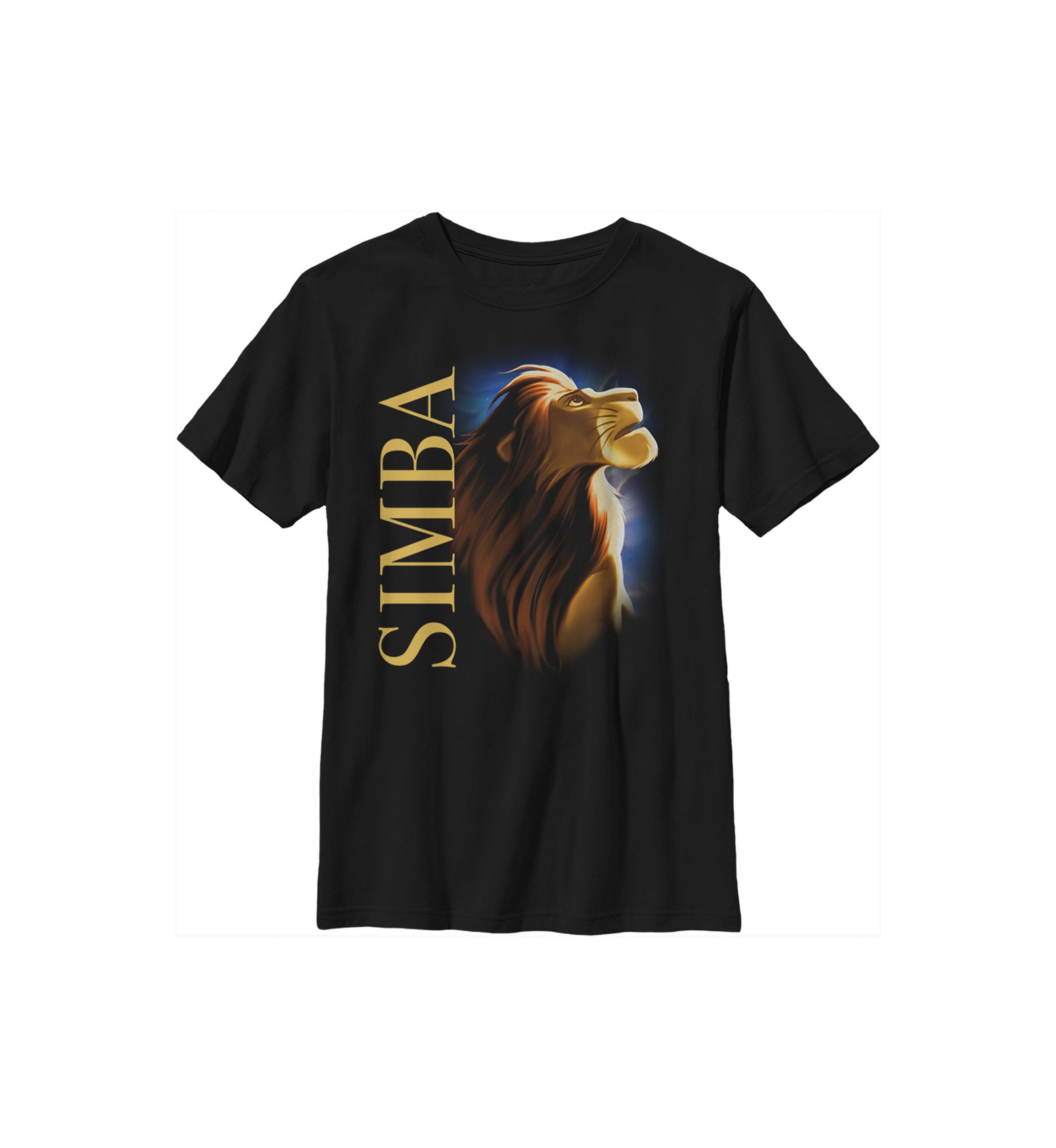 Boys 4-7 New King Graphic T-Shirt
