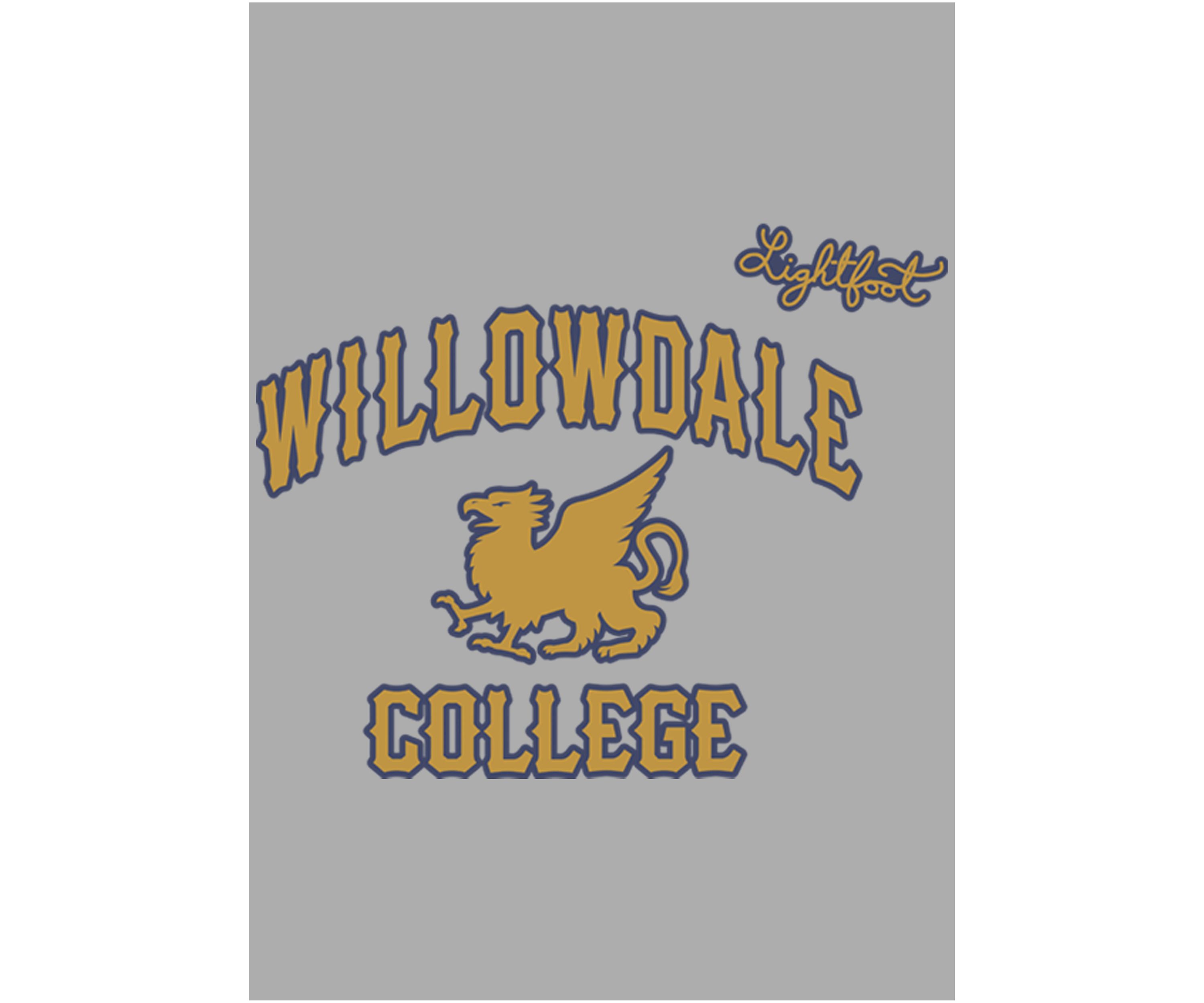 Boys 4-7 Willowdale College Graphic T-Shirt